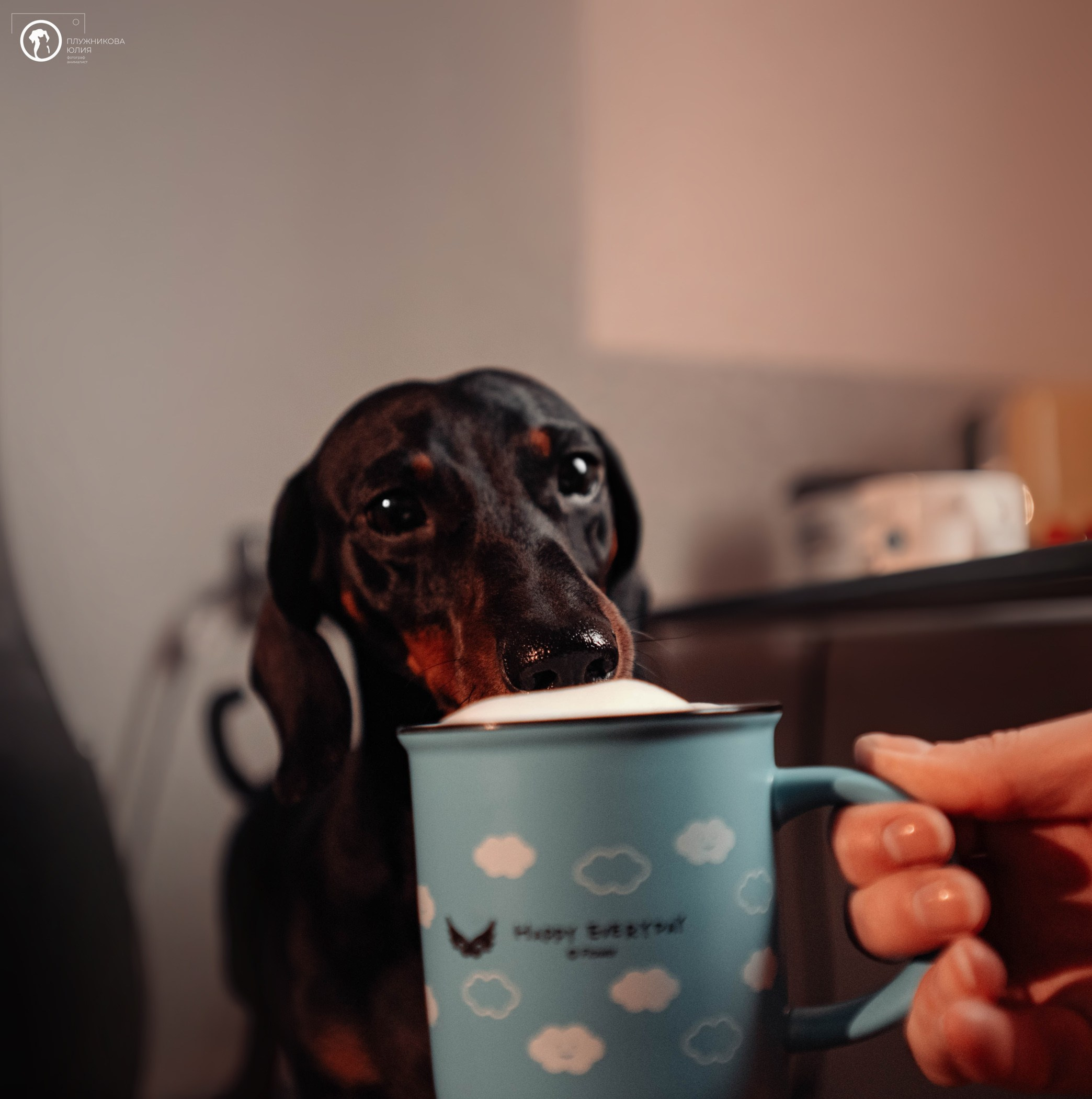 Таня и Грант. Фотограф — анималист Саратов/Москва|Плужникова Юлия