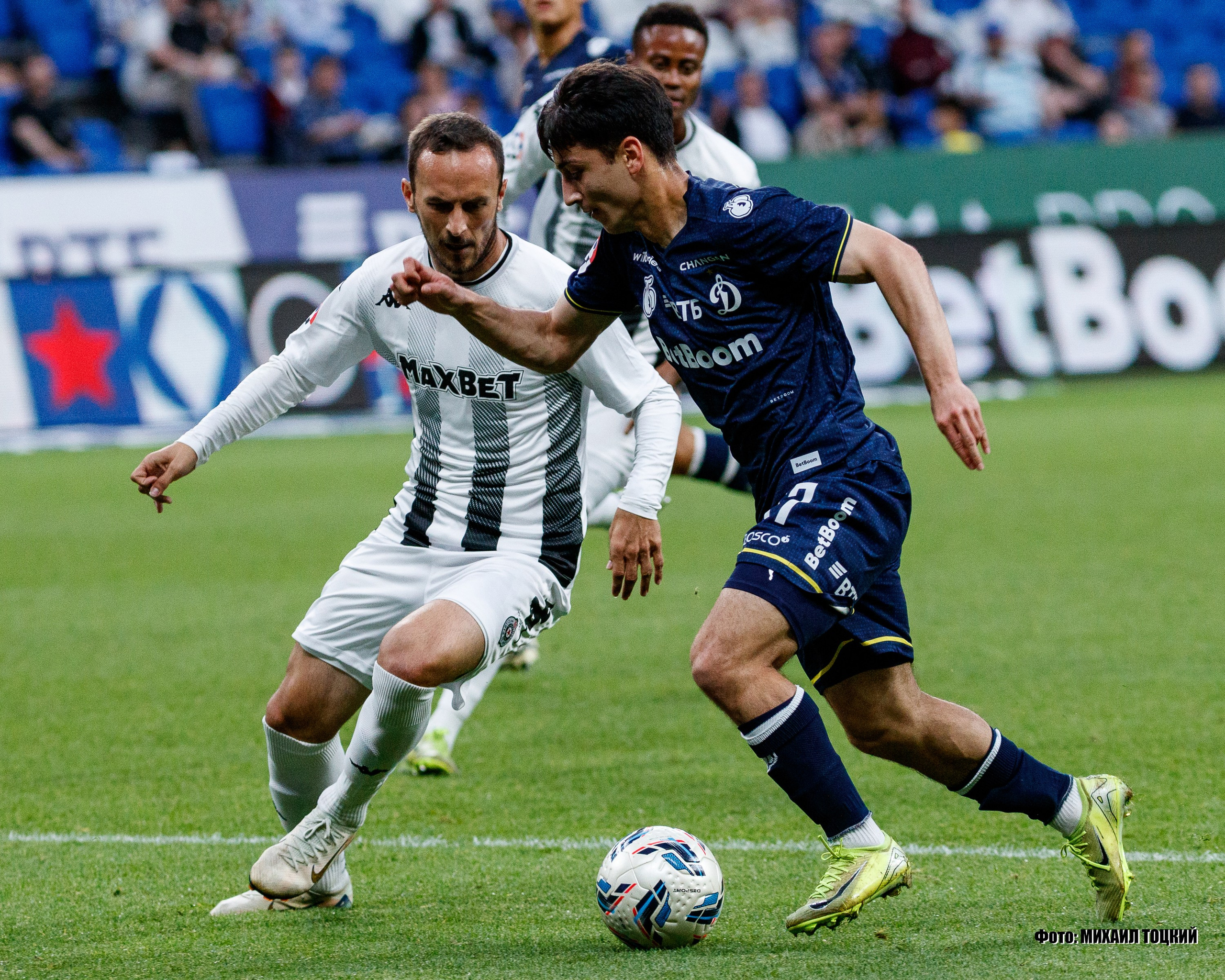 Фоторепортаж. ФК Динамо — ФК Партизан. Михаил Тоцкий портретный и репортажный фотограф в Москве