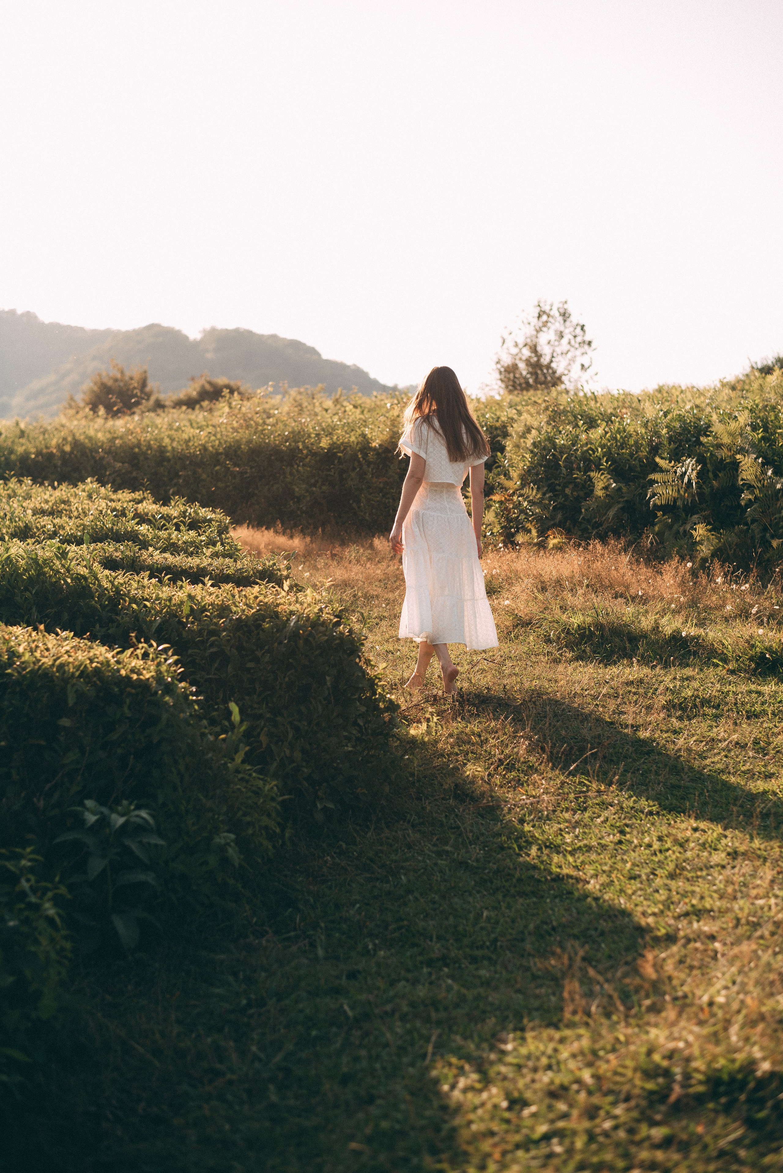 Фотосъемки в горах на чайных плантациях Сочи. Фотограф в Сочи — Маргарита Поганова
