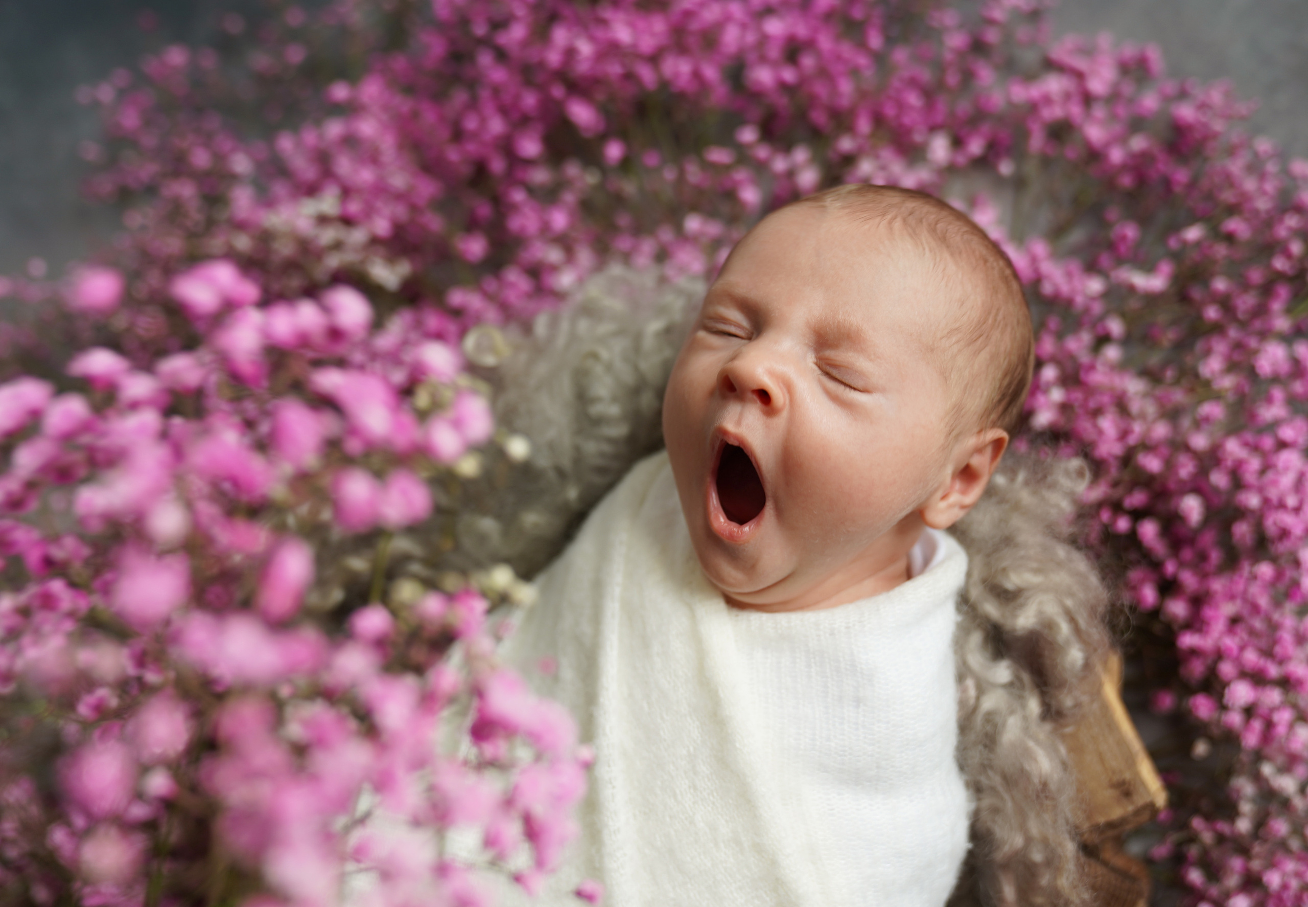 Фотограф новорожденных Наталья Курышова Москва Одинцово
