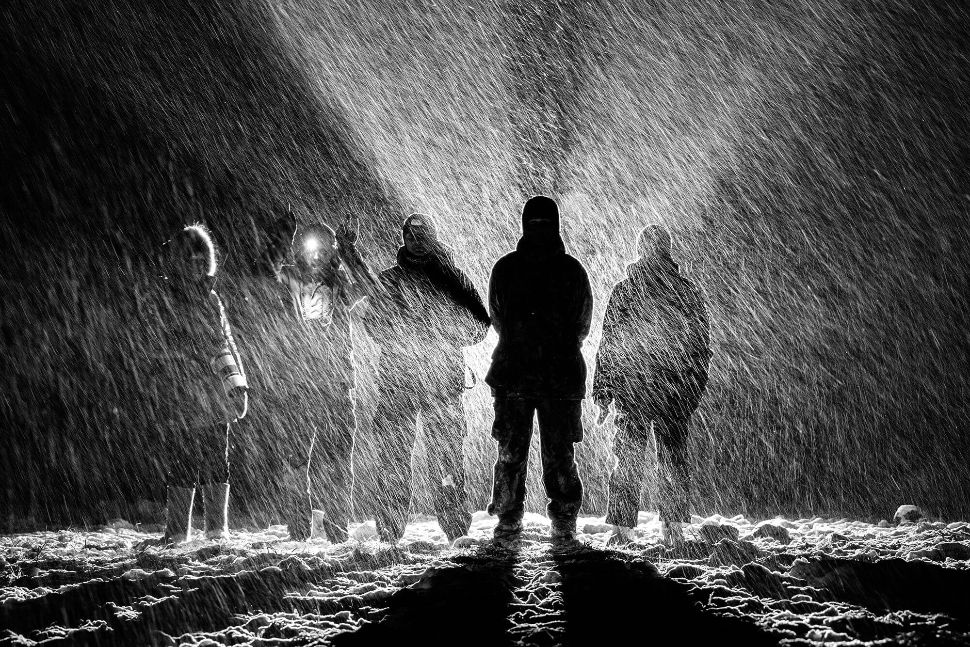 Фототур по съемке зубров в заповеднике “Калужские Засеки”