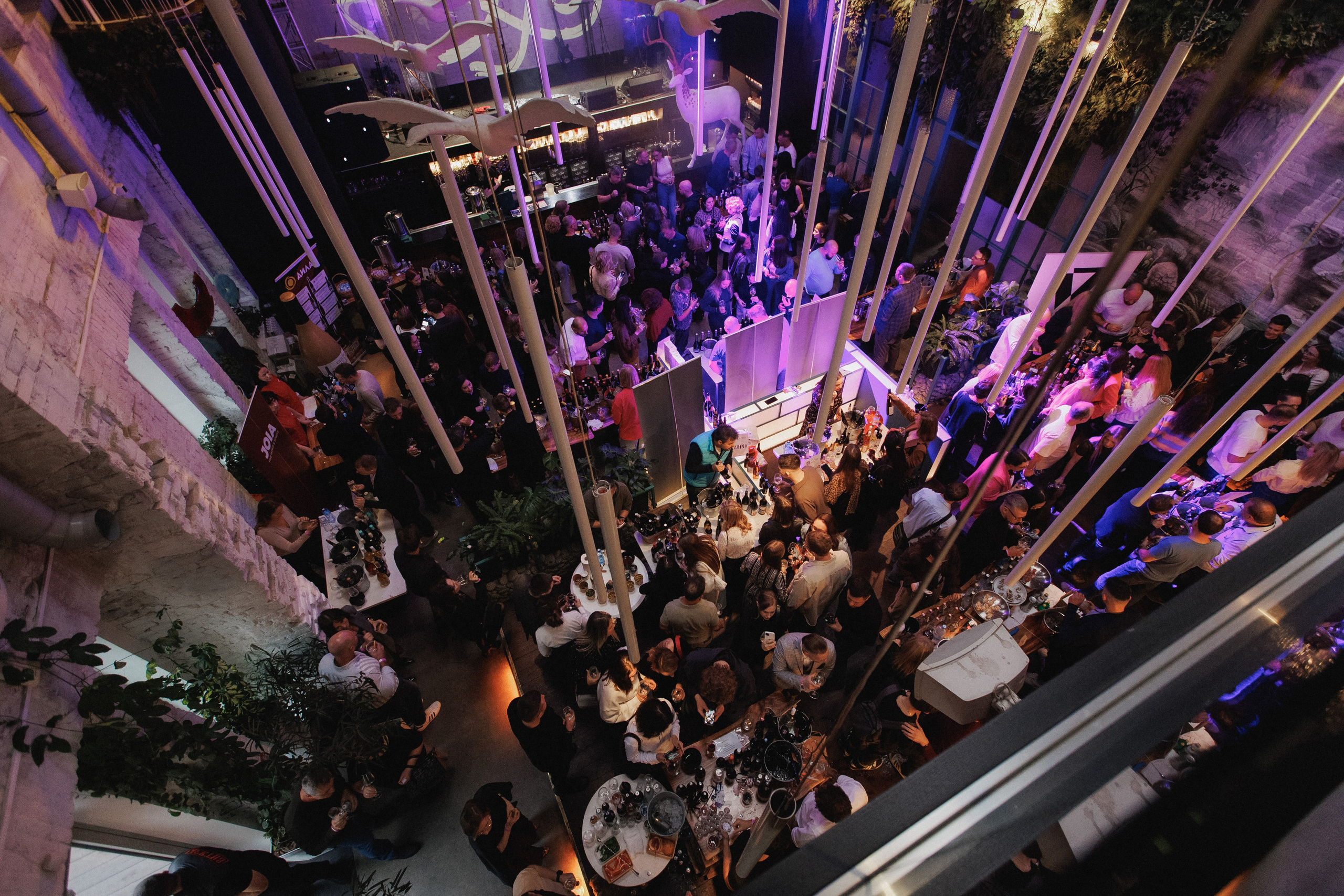 ВИННЫЙ ФЕСТИВАЛЬ. СВОИ. ФОТООТЧЕТЫ-СОБЫТИЯ-МЕСТА