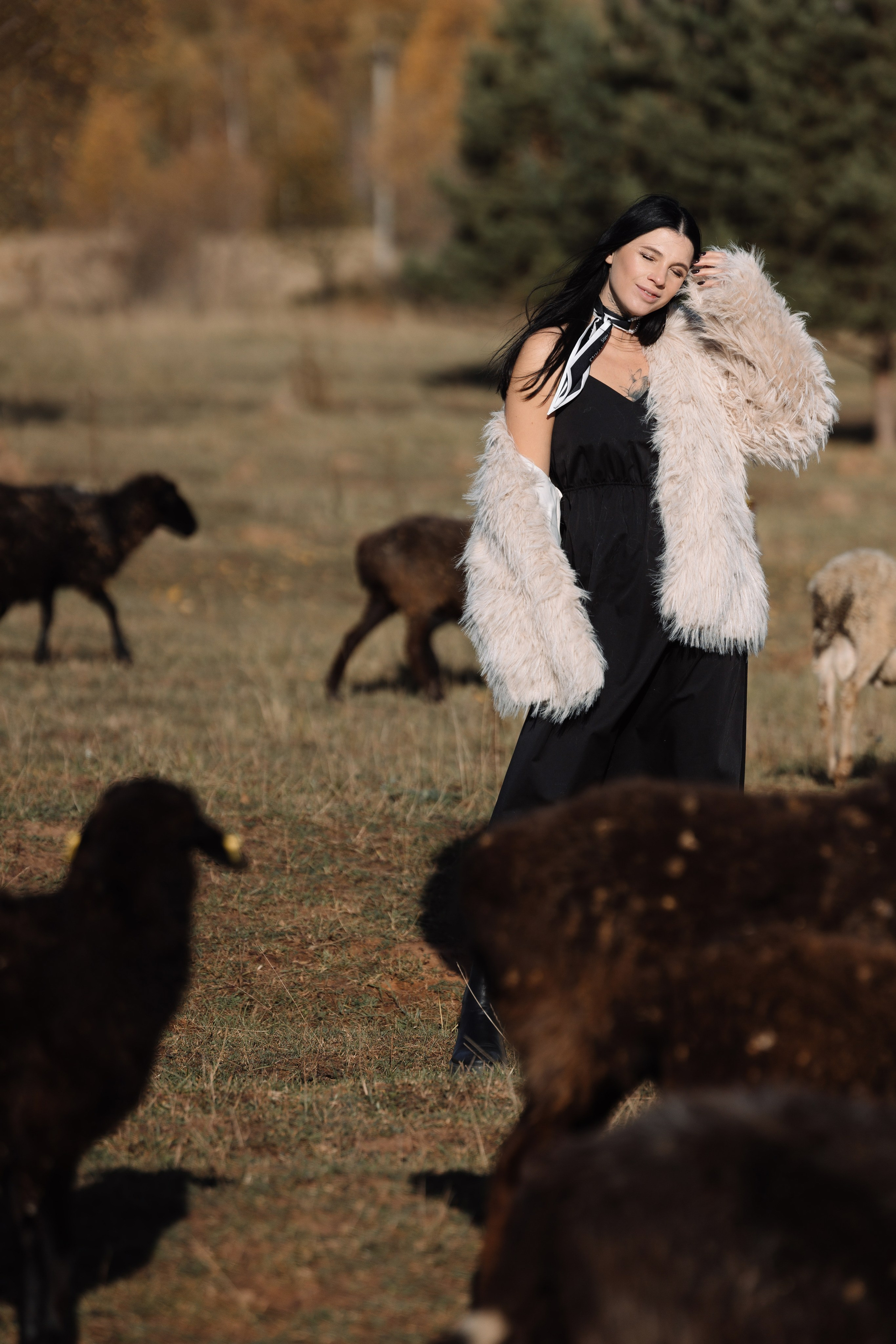 Охота на овец