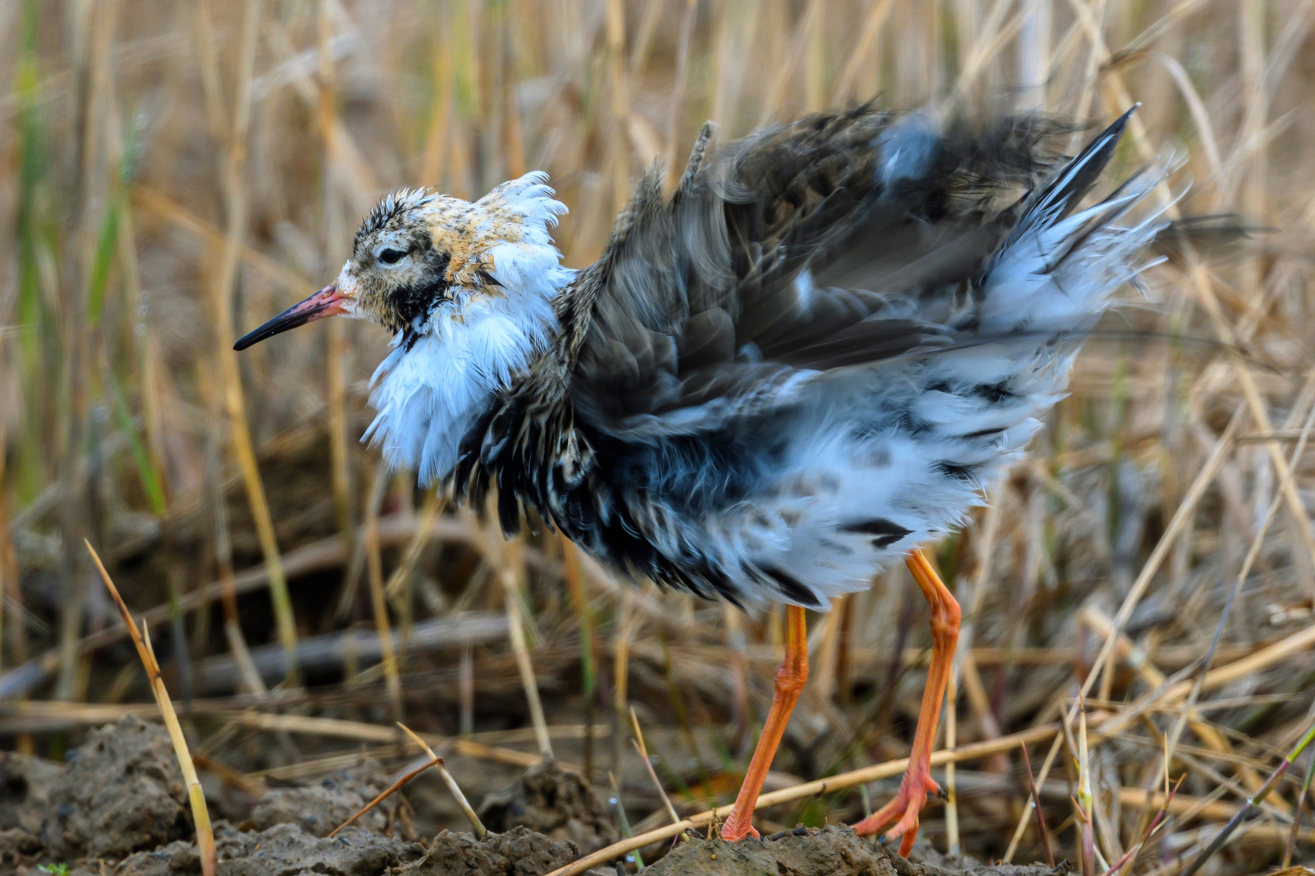 Ждем хорошую погоду. Фотограф Сергей Пупонин
