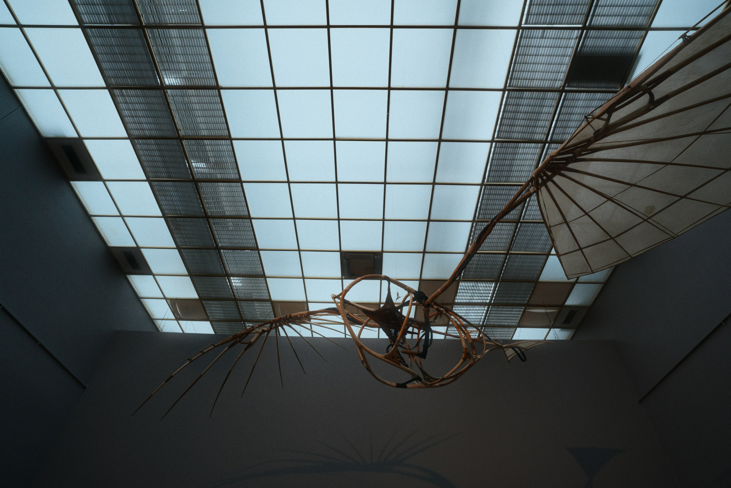 Новая Третьяковка / Русское искусство ХХ века. Фотограф Юрин Евгений