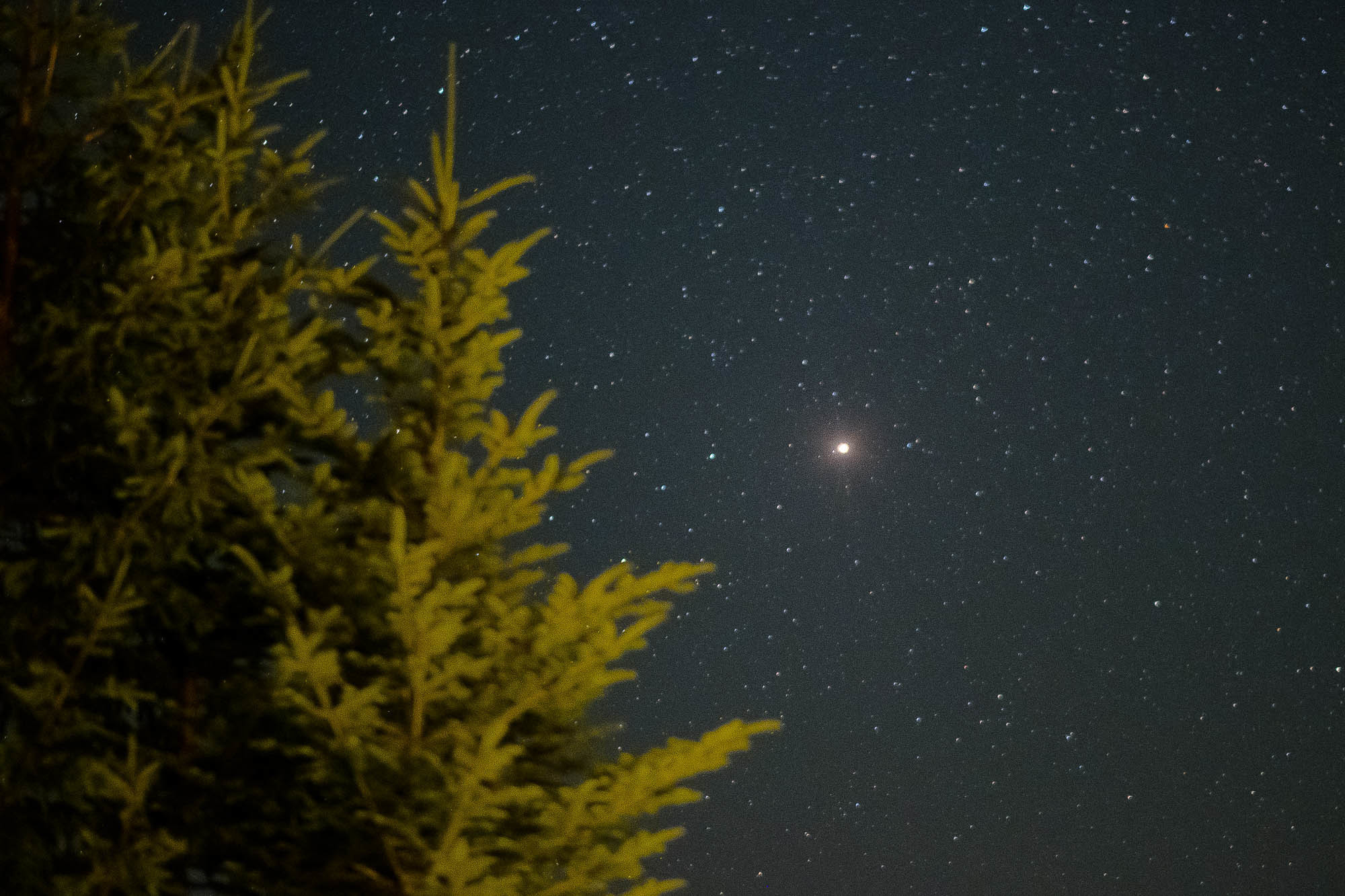 Путешествие в Румынию | Часть 4/4. Фотограф Дмитрий Питерский