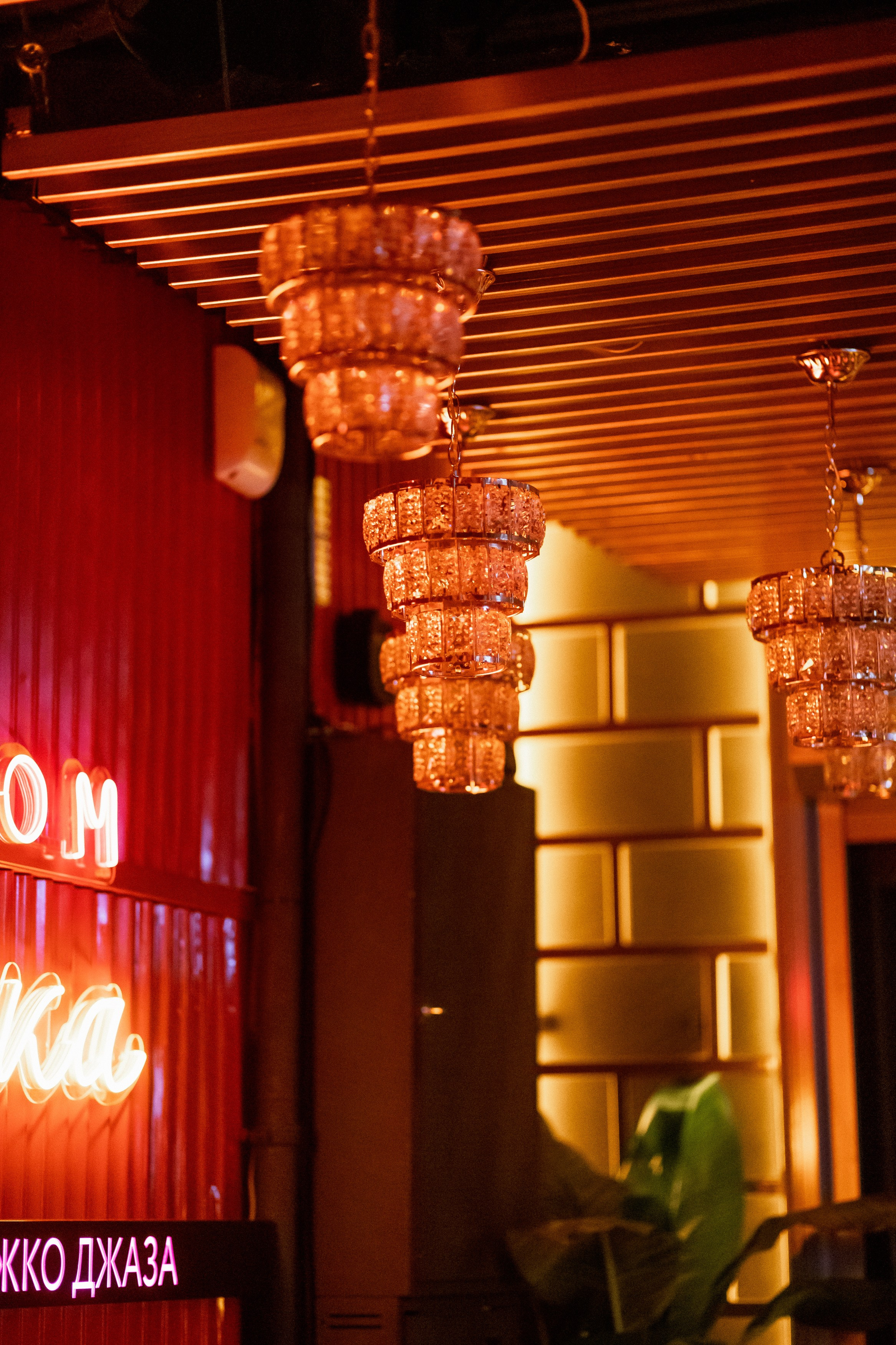 YANA URBAN: сольный концерт в «Анжелика Wineroom». СВОИ. ФОТООТЧЕТЫ-СОБЫТИЯ-МЕСТА