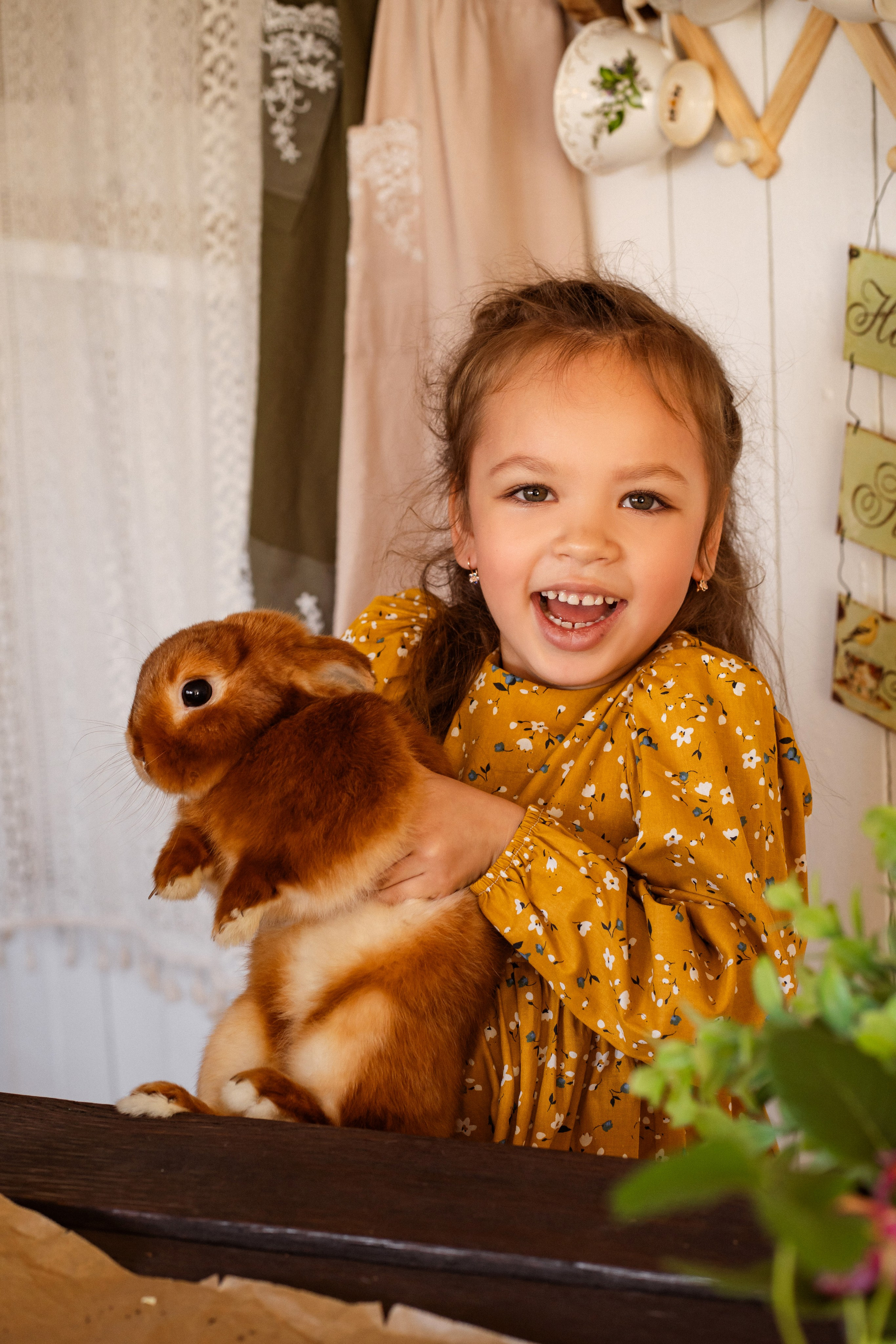 Фотосессии с животными. Мои работы