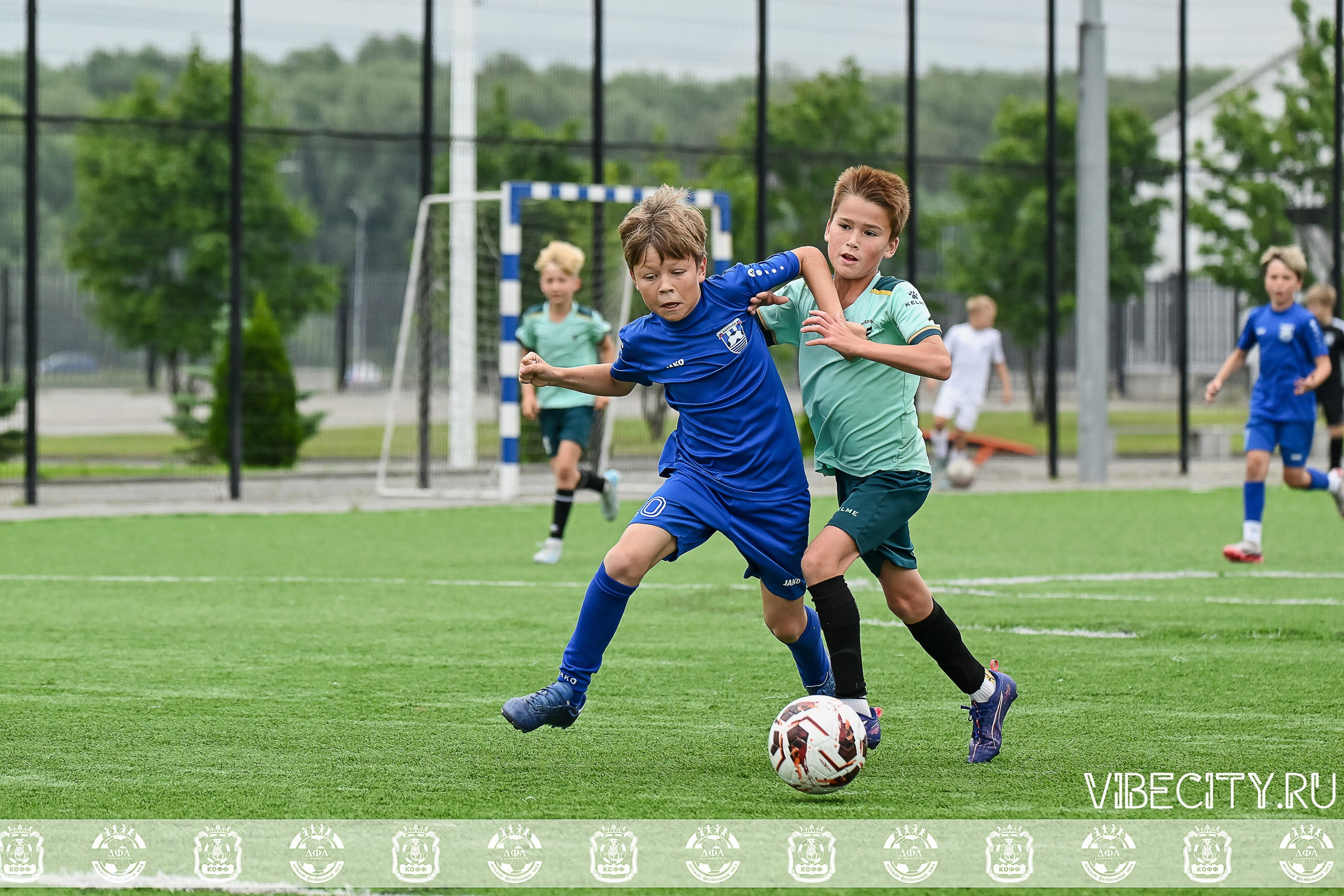 Калининградская Детская Футбольная Лига. VIBECITY.RU Вайб Сити Ру Фоторепортажи Фотоотчеты Калининград