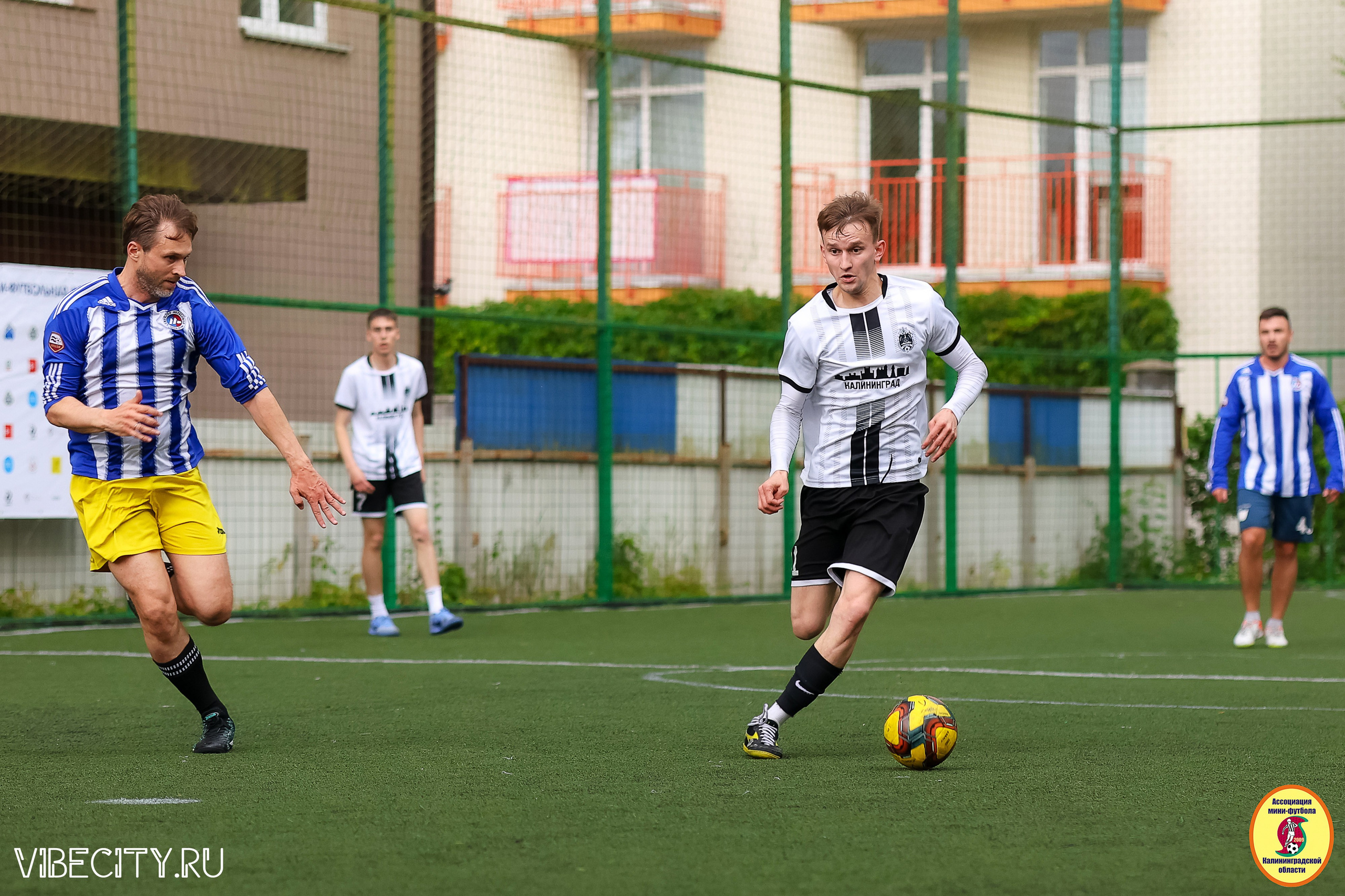 ИГРЫ МИНИ-ФУТБОЛЬНОЙ И КОРПОРАТИВНОЙ ЛИГИ. VIBECITY.RU Вайб Сити Ру Фоторепортажи Фотоотчеты Калининград