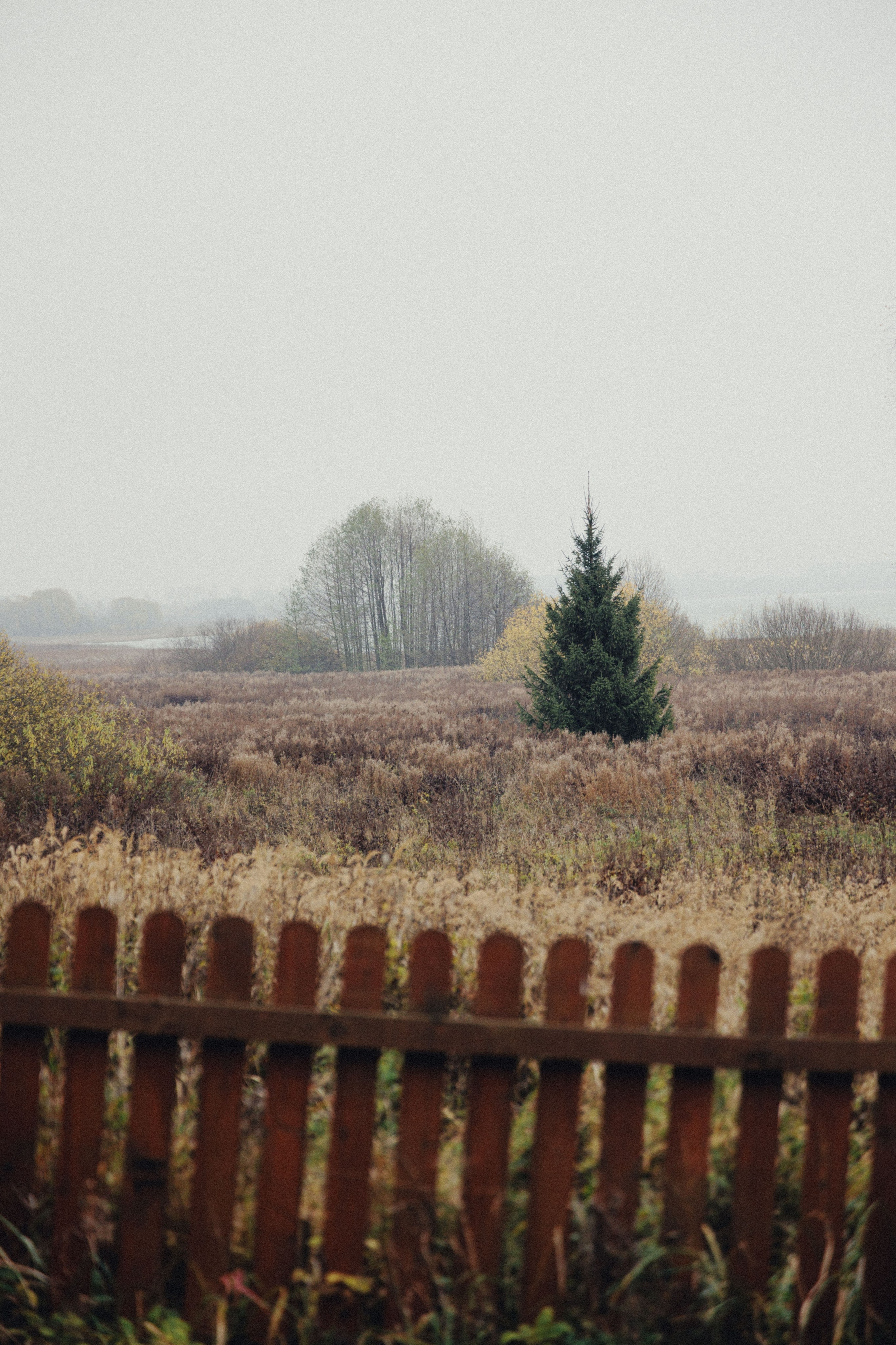 О том, как мы исследовали земли Залесские. Главная
