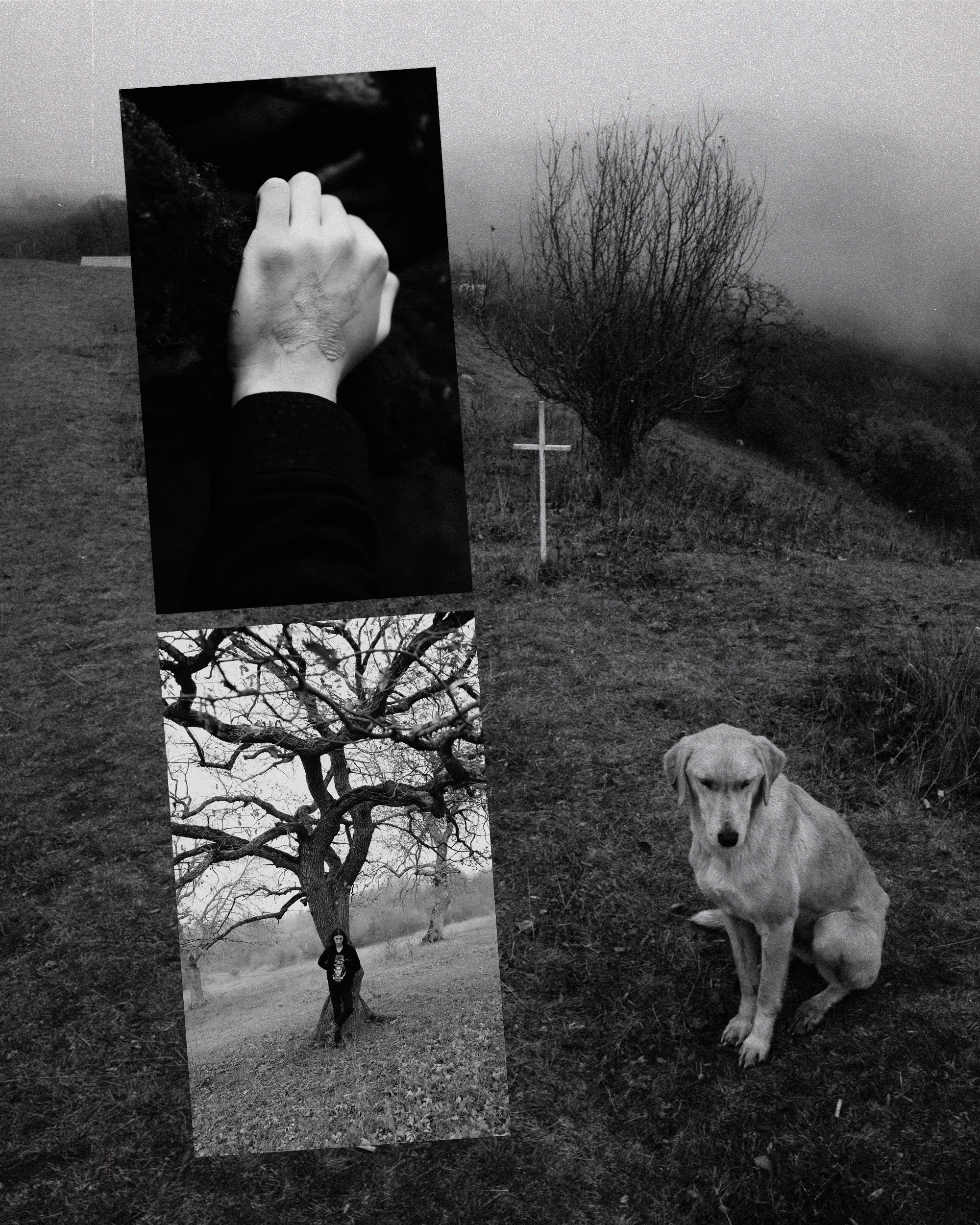 Collages PSD. Портретный фотограф в Санкт-Петербурге Алексей Корзов