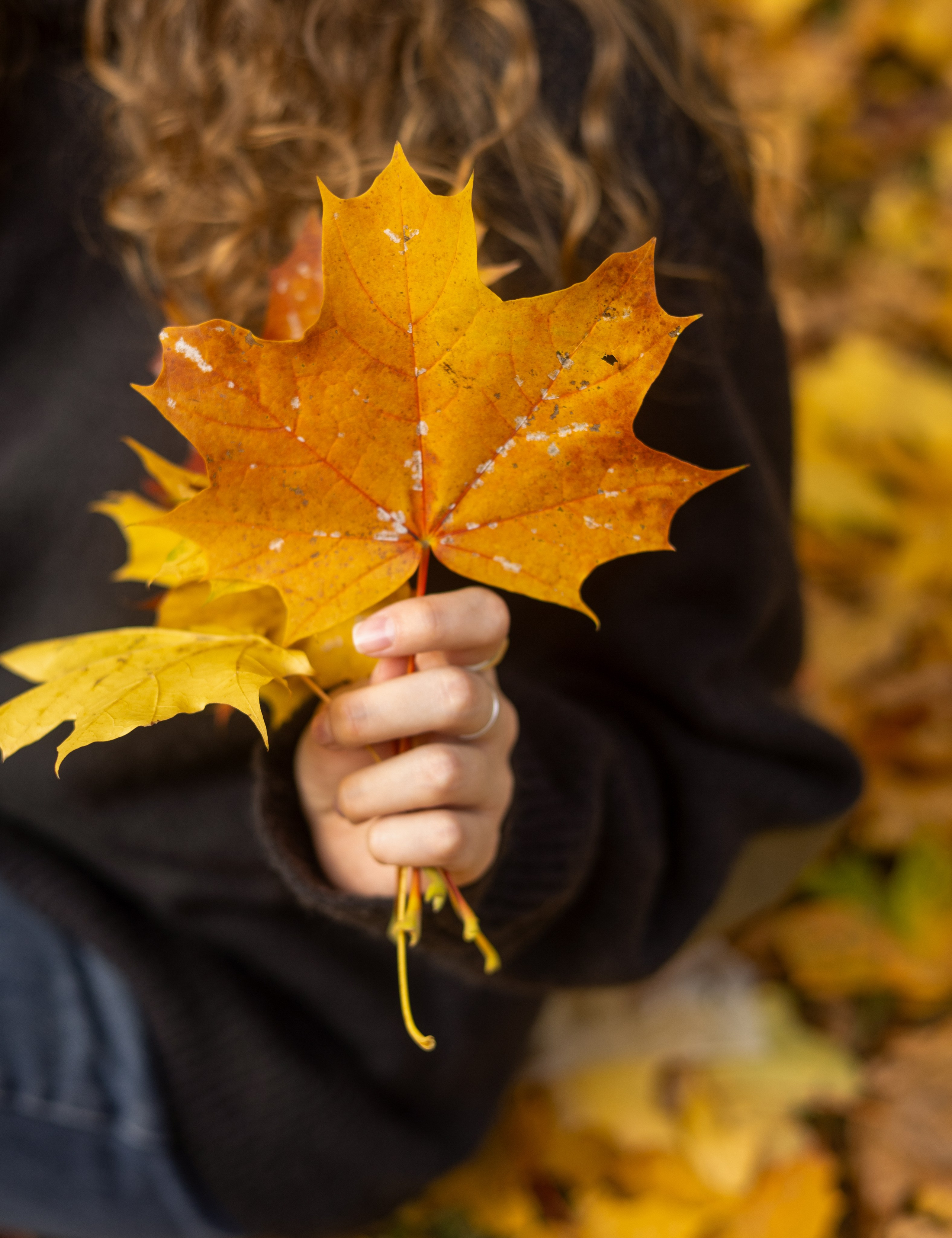 Прогулка в парке🍂 Таня. Катрин | Фотограф Москва | Портреты, Love Story, Семья