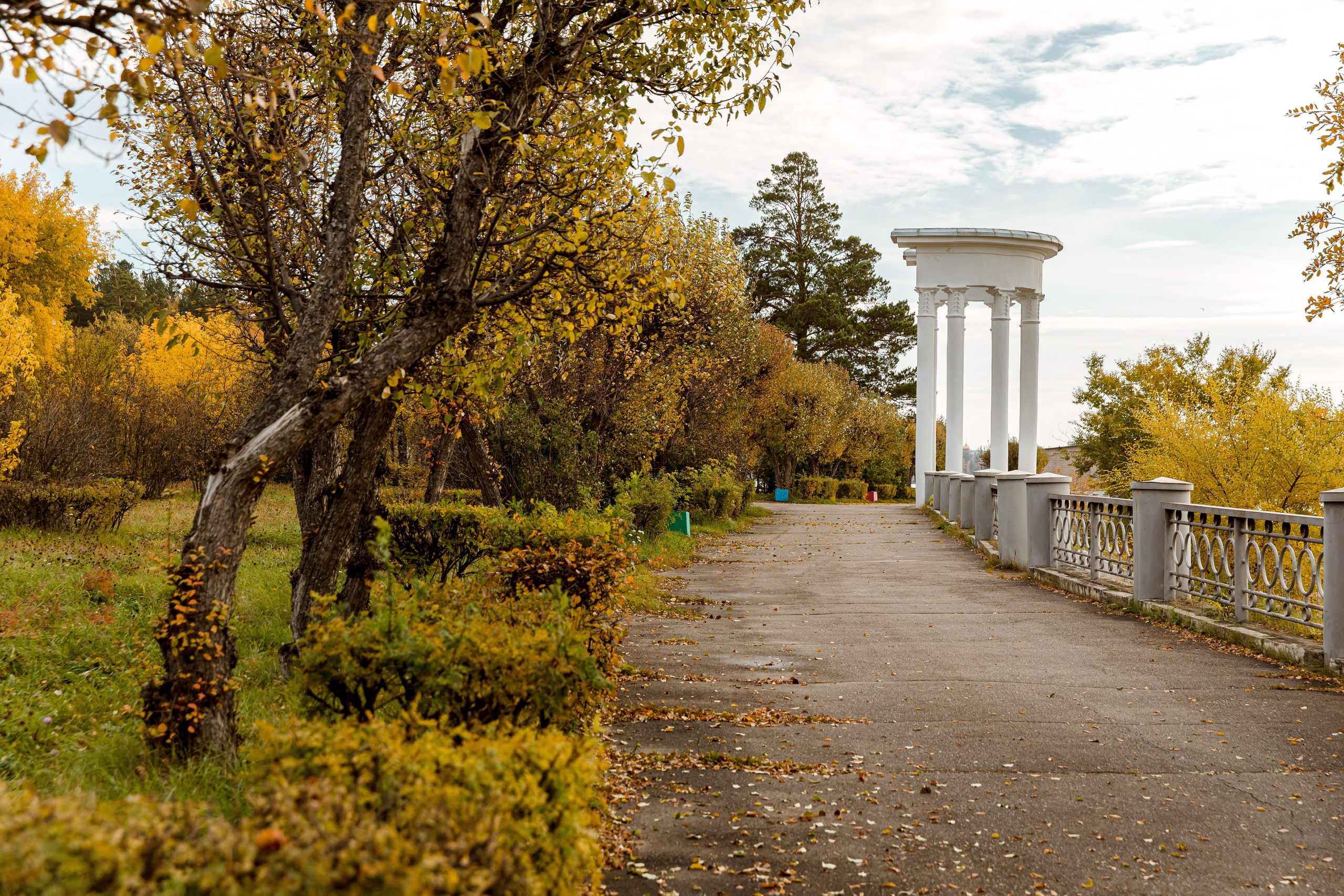 Осень в парке. Семейный и детский фотограф в Железногорске Саламахо Ольга