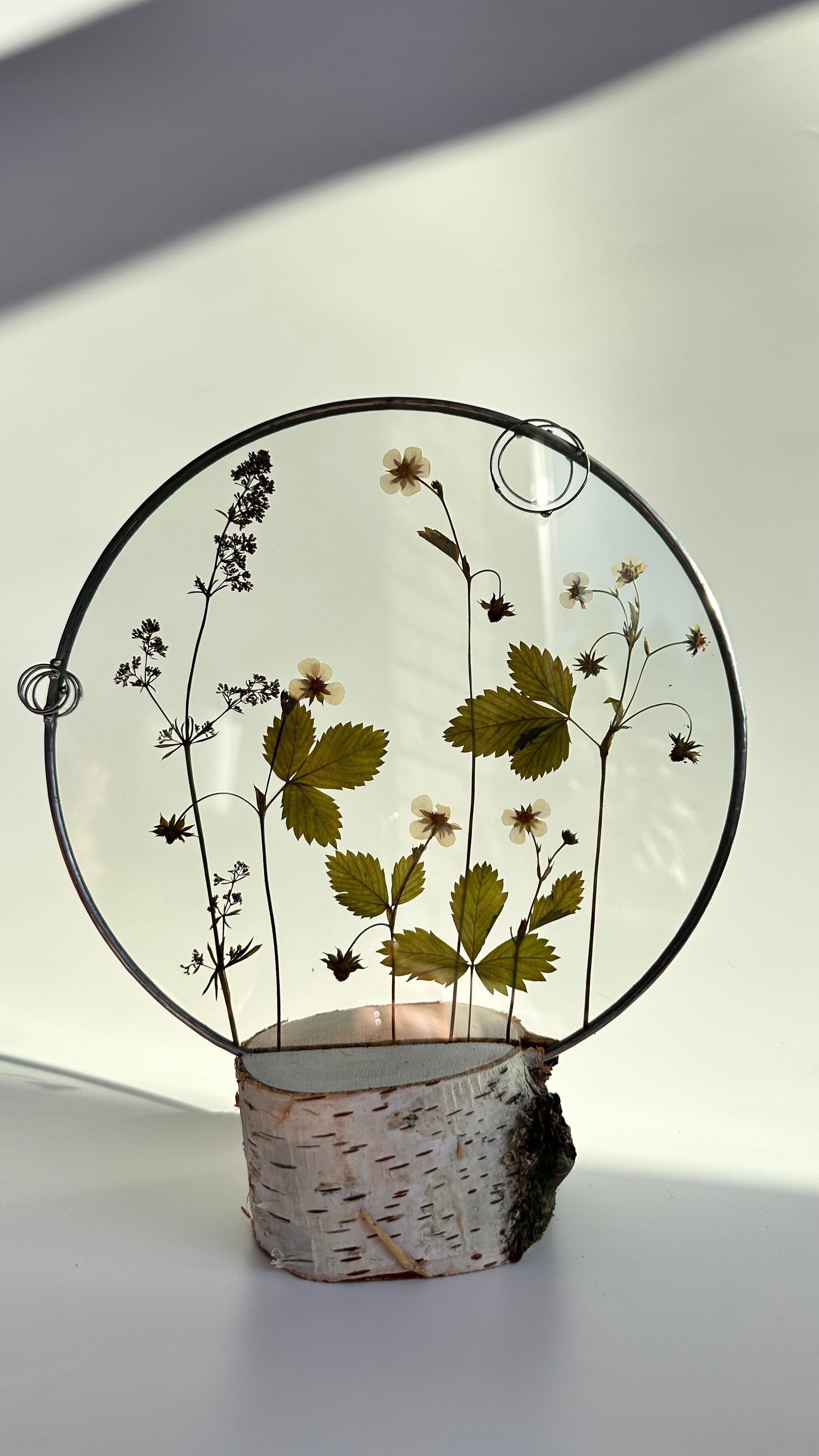 Земляника Круг 20 см. Оформляю пространства. Витражи с сухоцветами в технике Тиффани