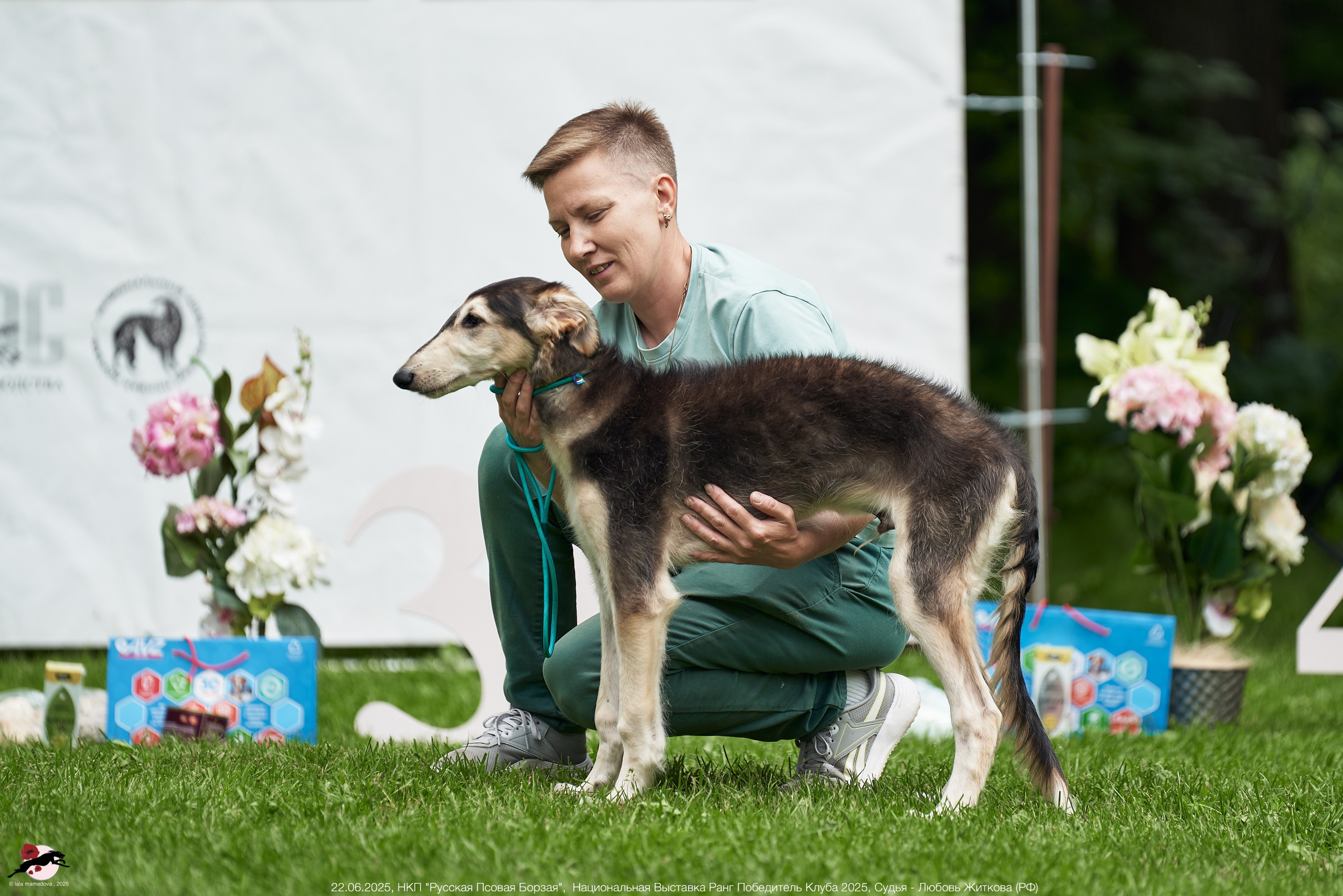 22.06.2025 | Национальная Выставка НКП "Русская Псовая Борзая"