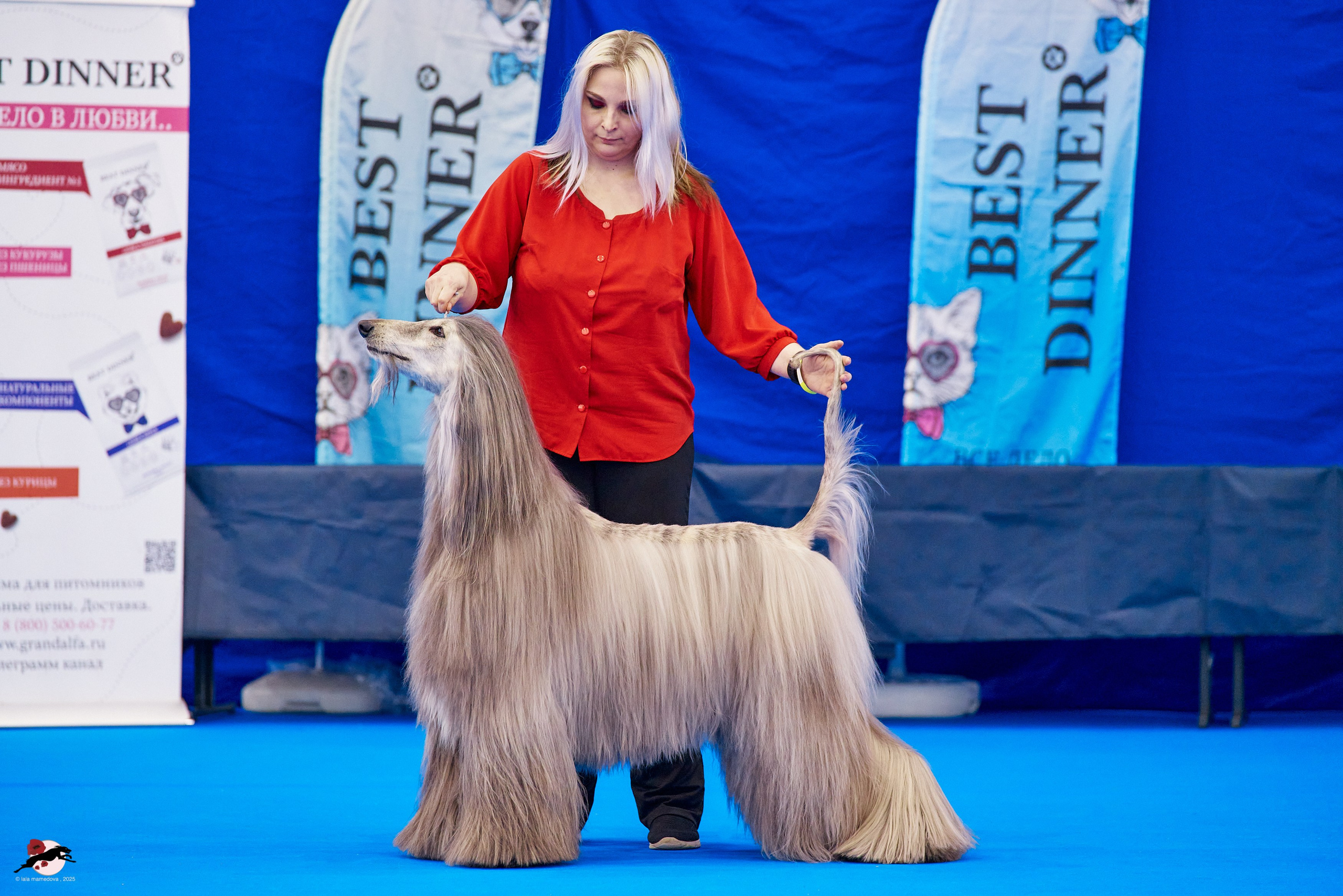 ГРАН ПРИ «ВЕСЕННИЙ ПЕТЕРБУРГ» & «СУПЕР КУБОК «ЭЛИТЫ»-2025»