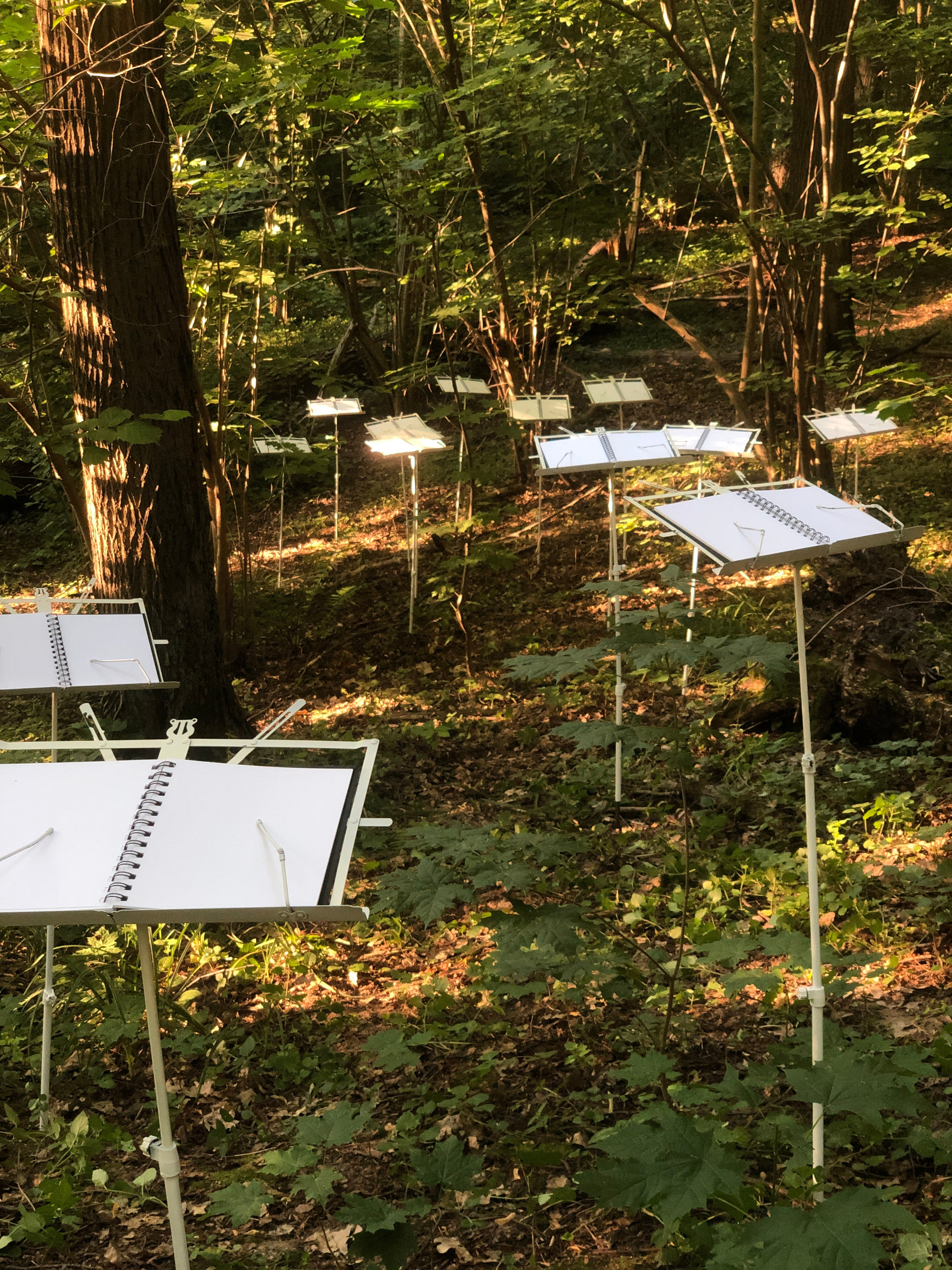 Паблик-арт. Современная художница Елена Алексеева (Alpha_Vita)