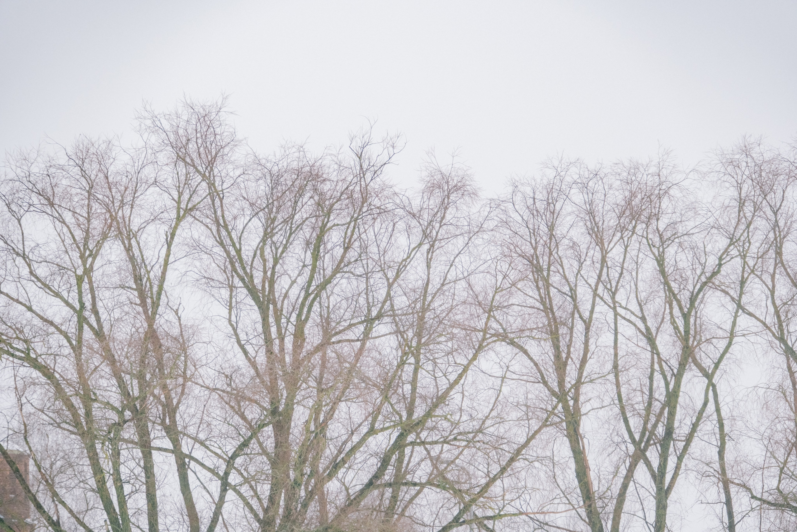 Великий Новгород моими глазами. Детский, семейный и ньюборн фотограф в Москве Юлия Шуарт