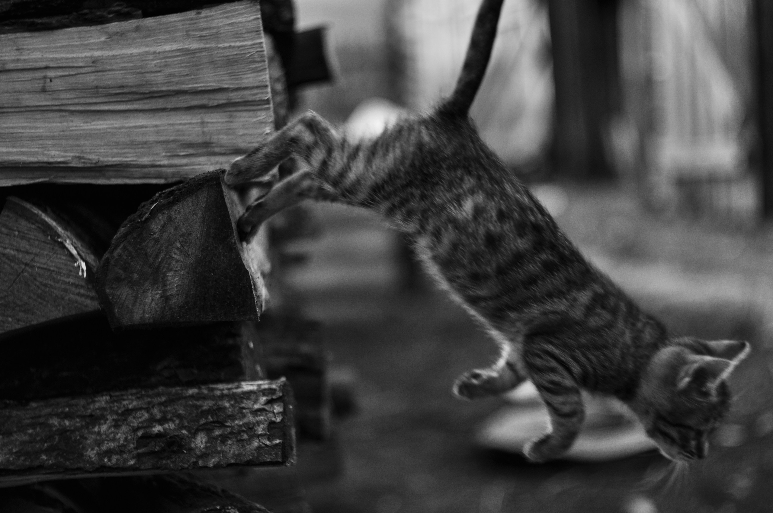 Репортажный фотограф Владимир Беляй