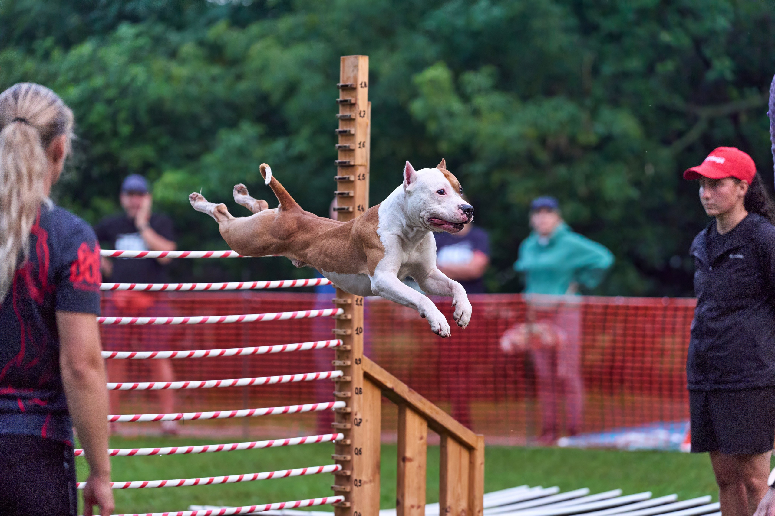 Jump'n'Gym JUMP! — 2024. Фотограф-анималист Михаил Манухин