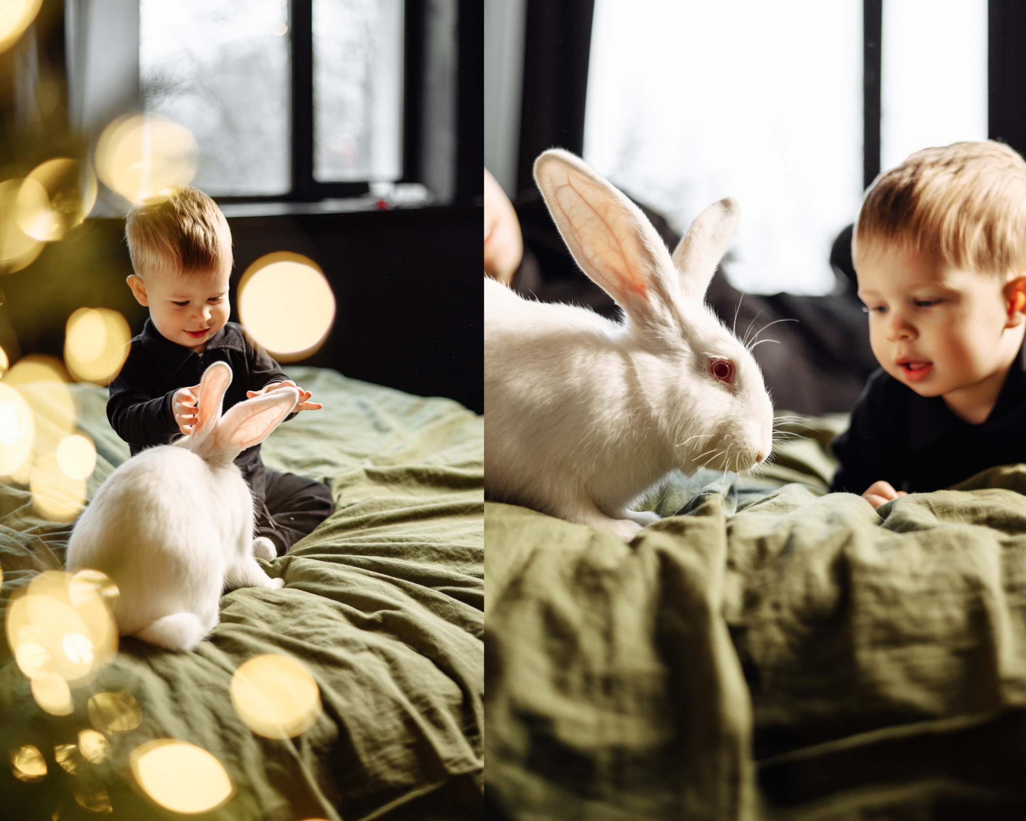 Фотостудия Молоко в Минске