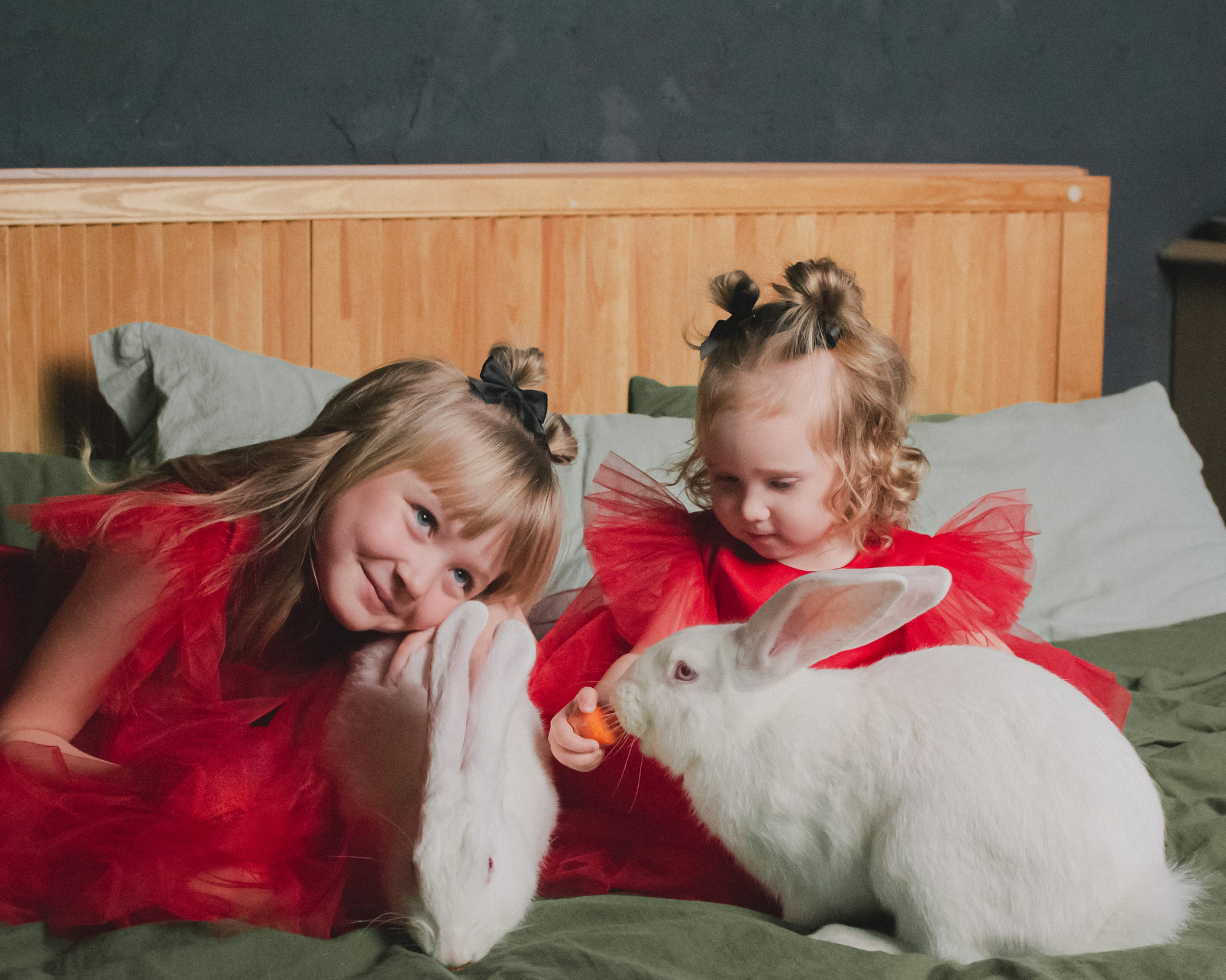 Фотостудия Молоко в Минске