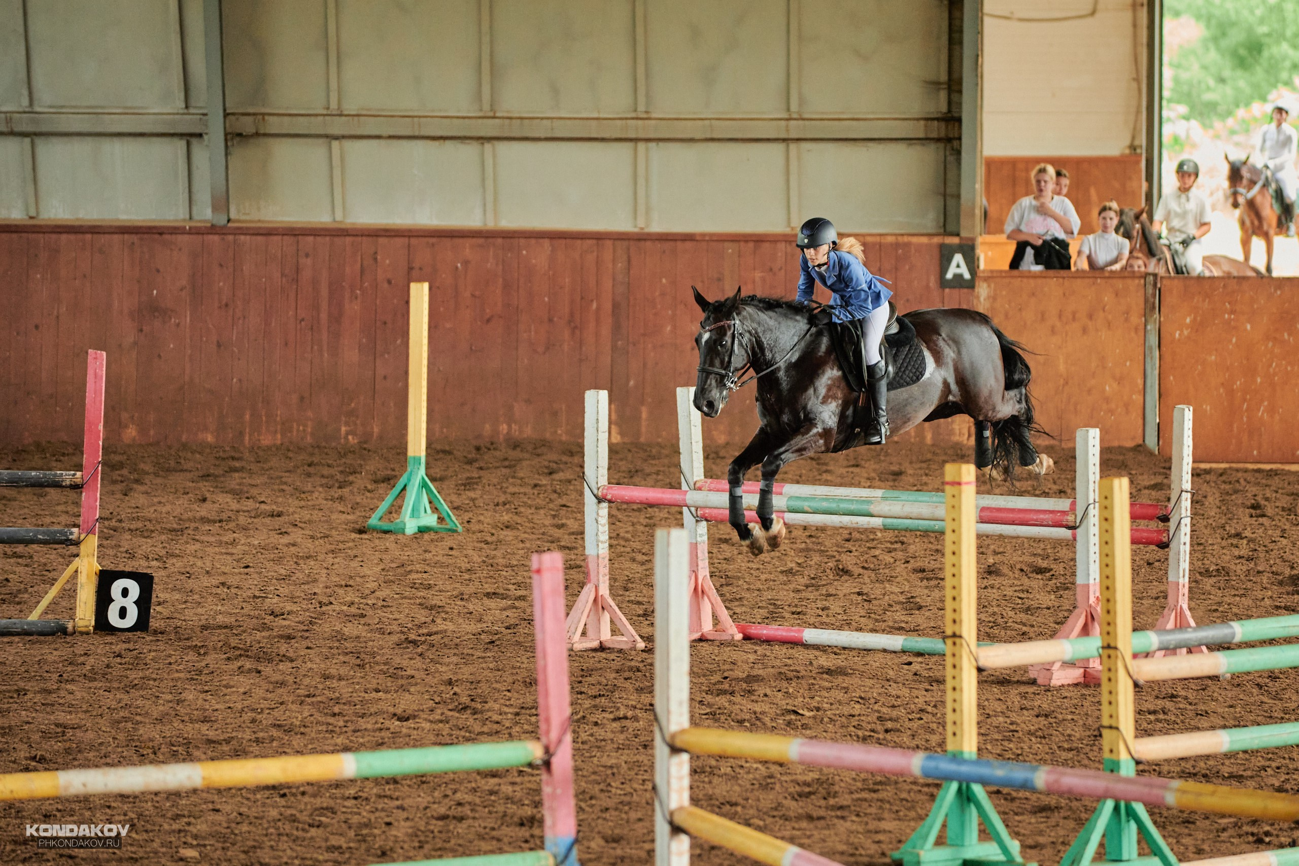 Съемка соревнований по конкуру для Риат. Фотограф в Иваново: Каталожная съемка одежды и постельного белья, Wildberries
