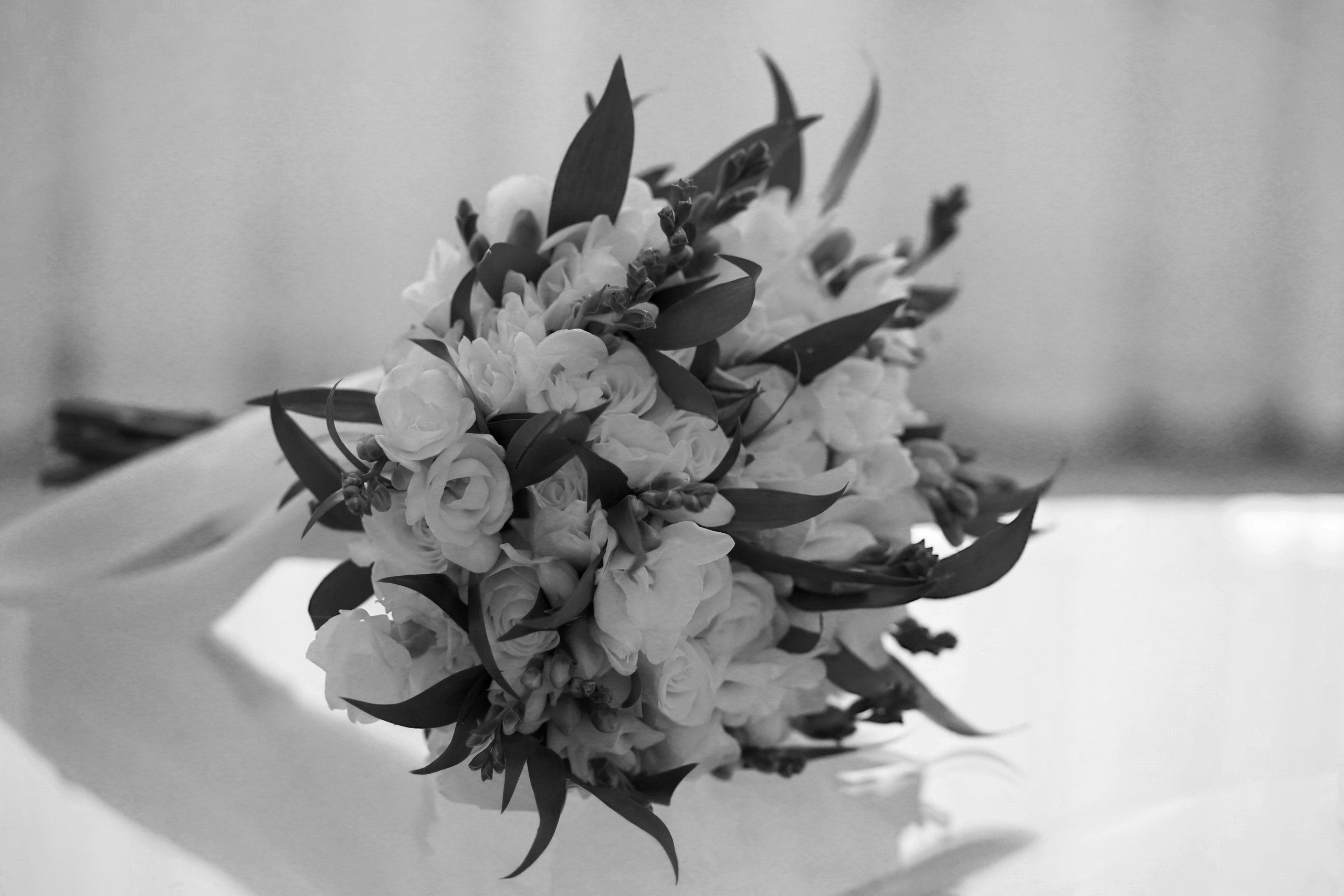 Николай и Анастасия. Фотограф Александра Луць