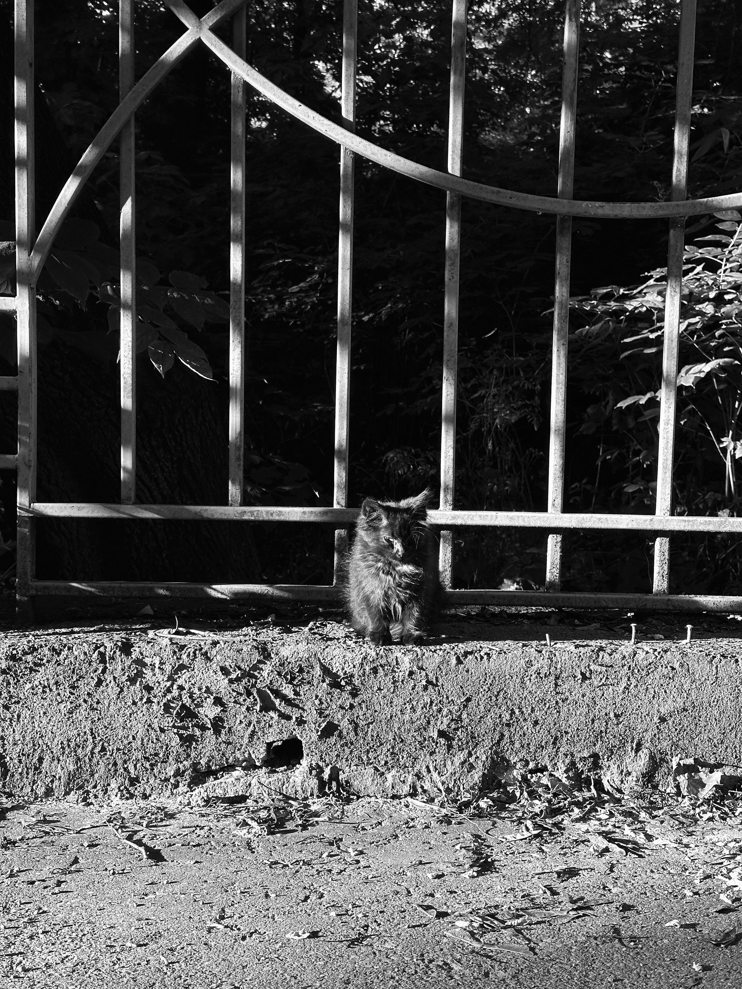 Кисловодск. Смотри, красота!