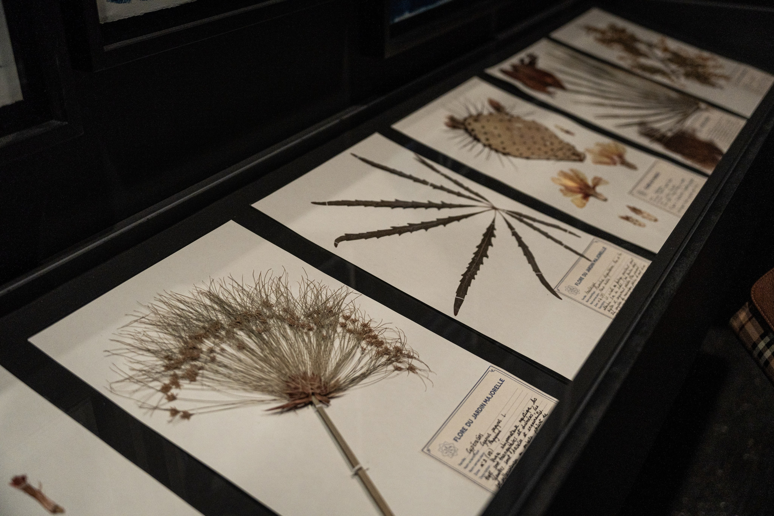 Марокко. Илья Варин — Фотограф Москва, Тверь