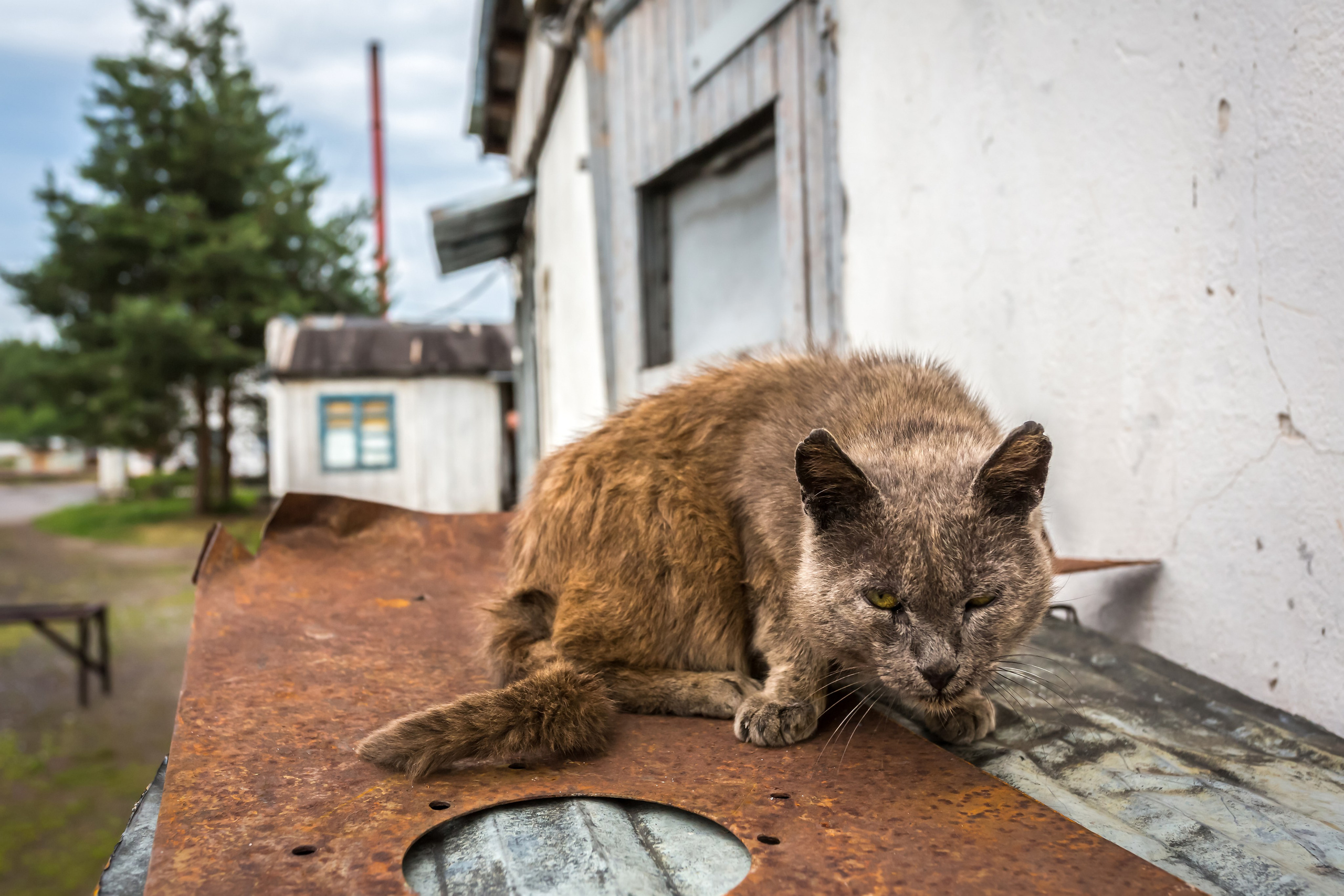 СВЯЗАННЫЕ ОДНОЙ ЗОНОЙ. Контакты
