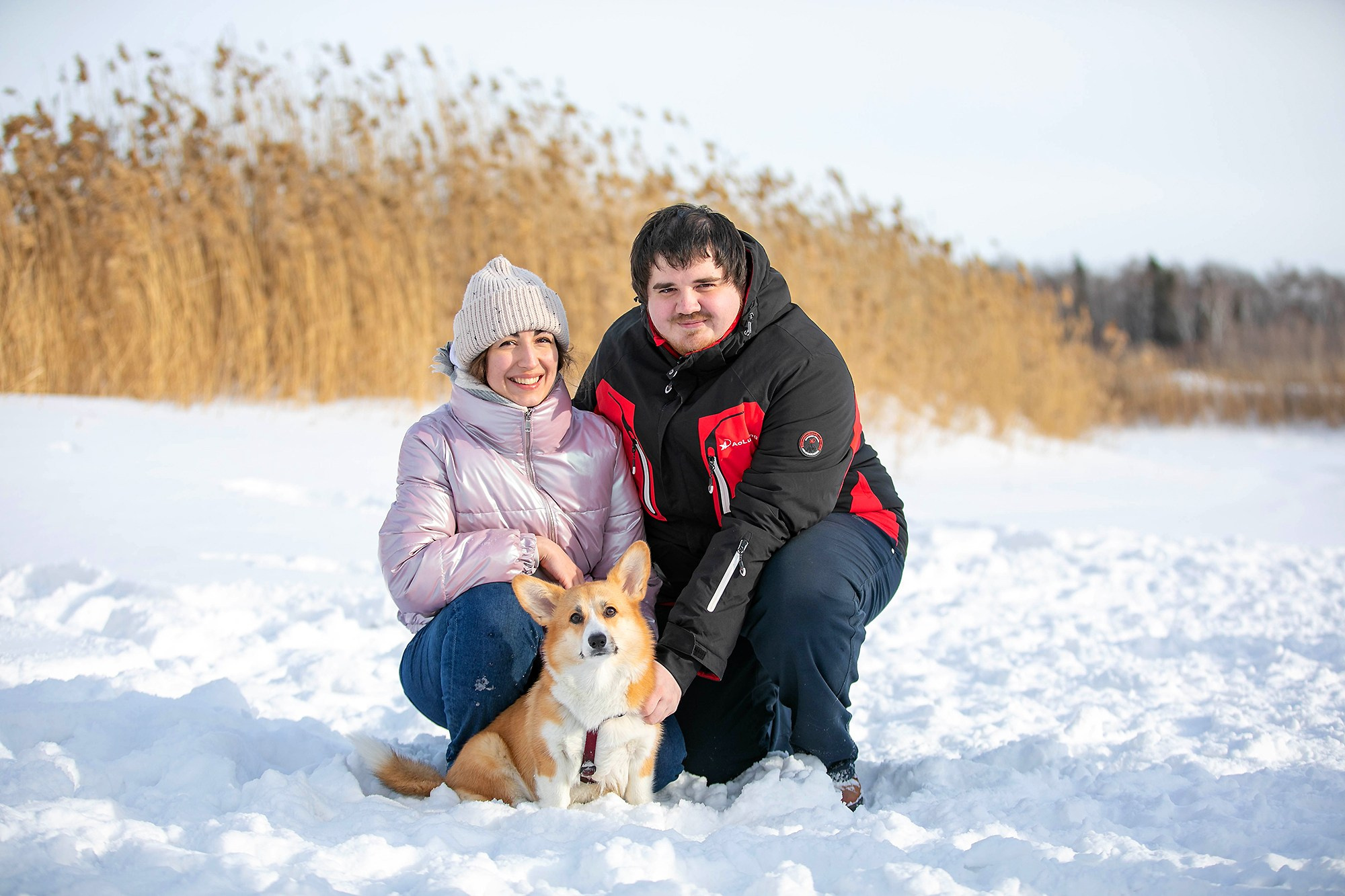 Корги-туса. Фотограф-анималист в Омске Екатерина Маричева