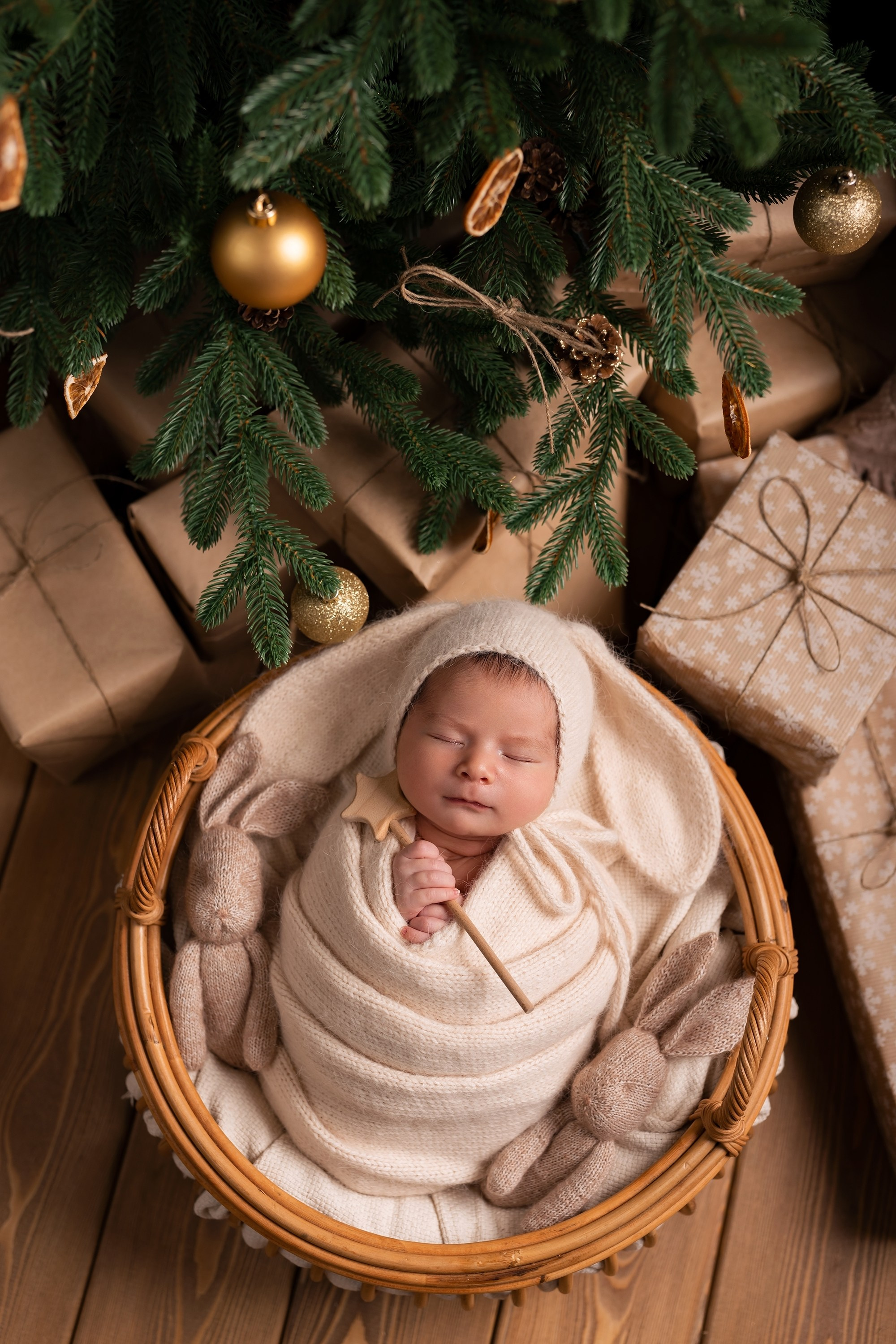 Фотограф Ольга Трубникова