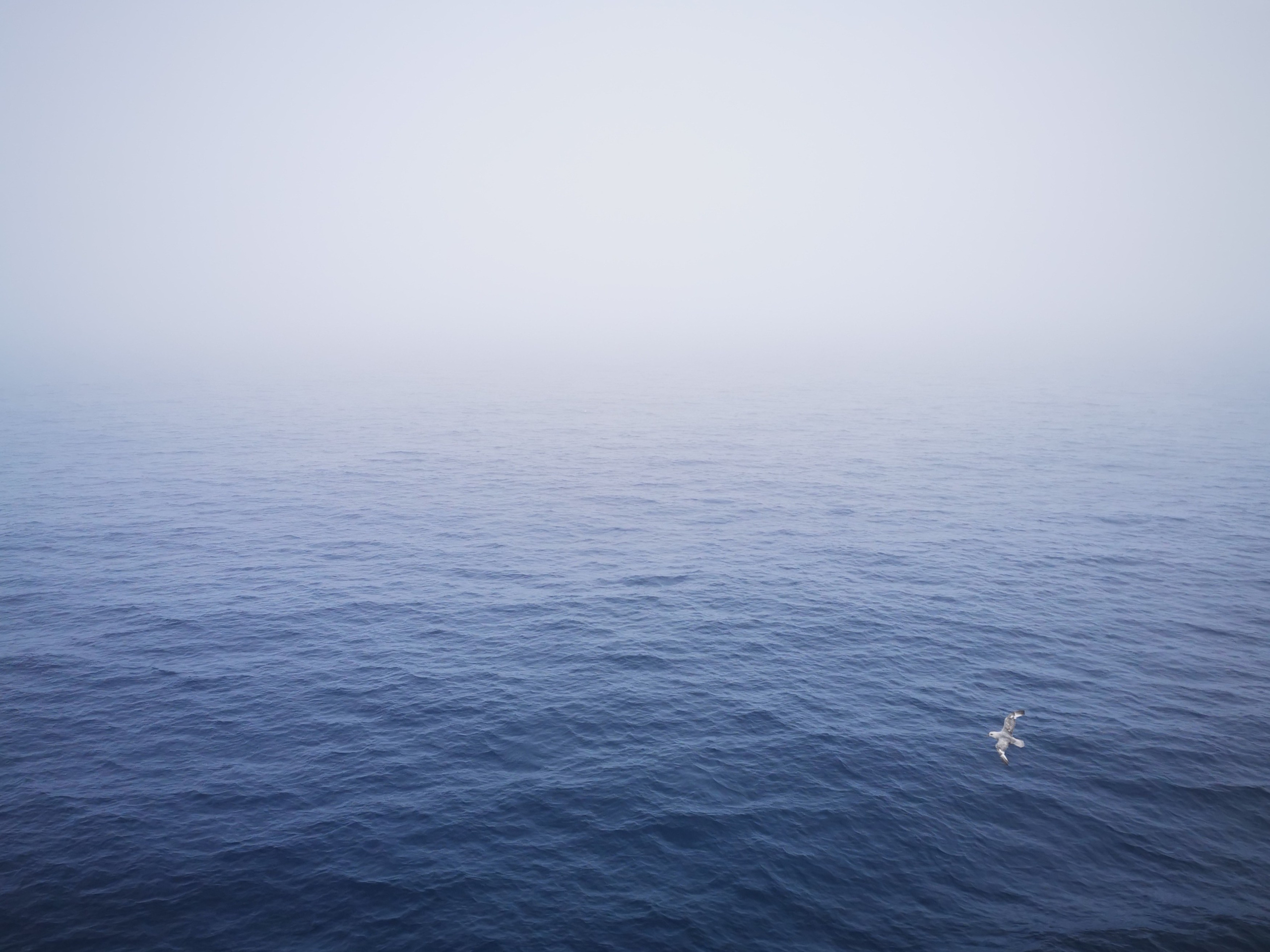 Автор: Иоанна Кириллина