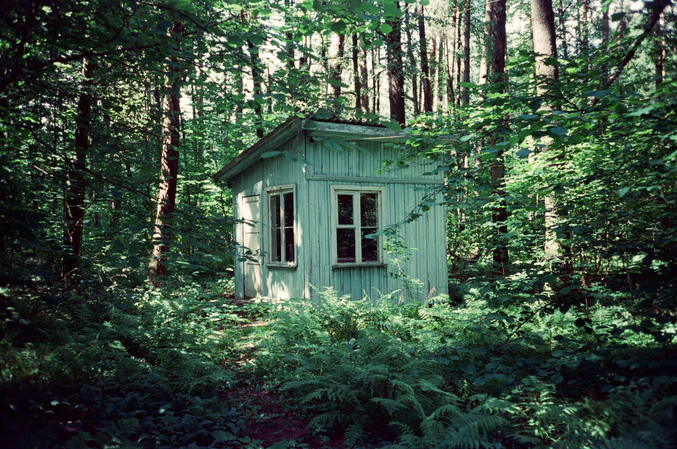 Автор: Анастасия Смирнова