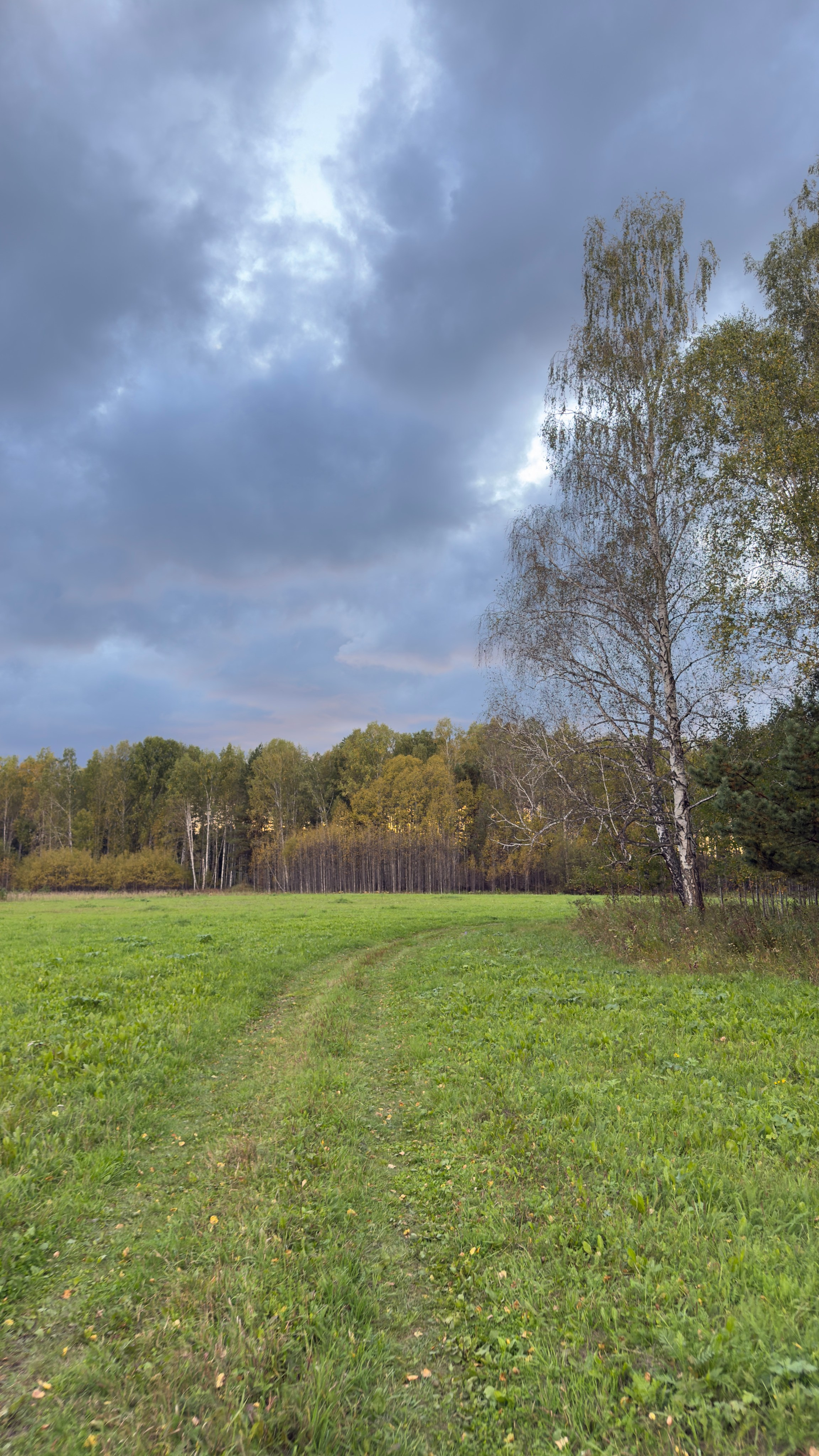 Гид от персонального стилиста: фотосессия в деревенском стиле. Екатерина Ананенко: персональный стилист из Красноярска