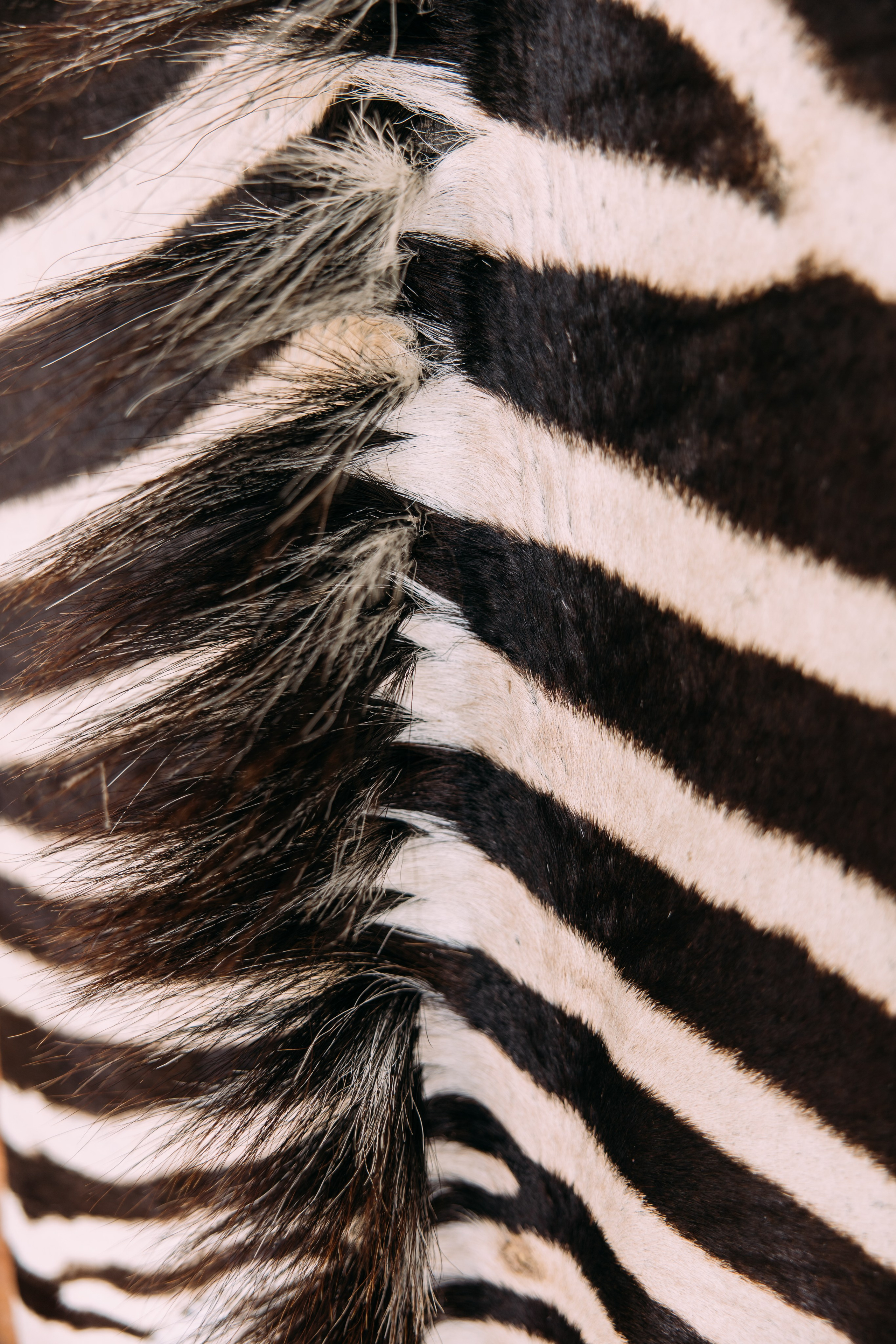 Фотограф Марина Аблаева-Кожедуб