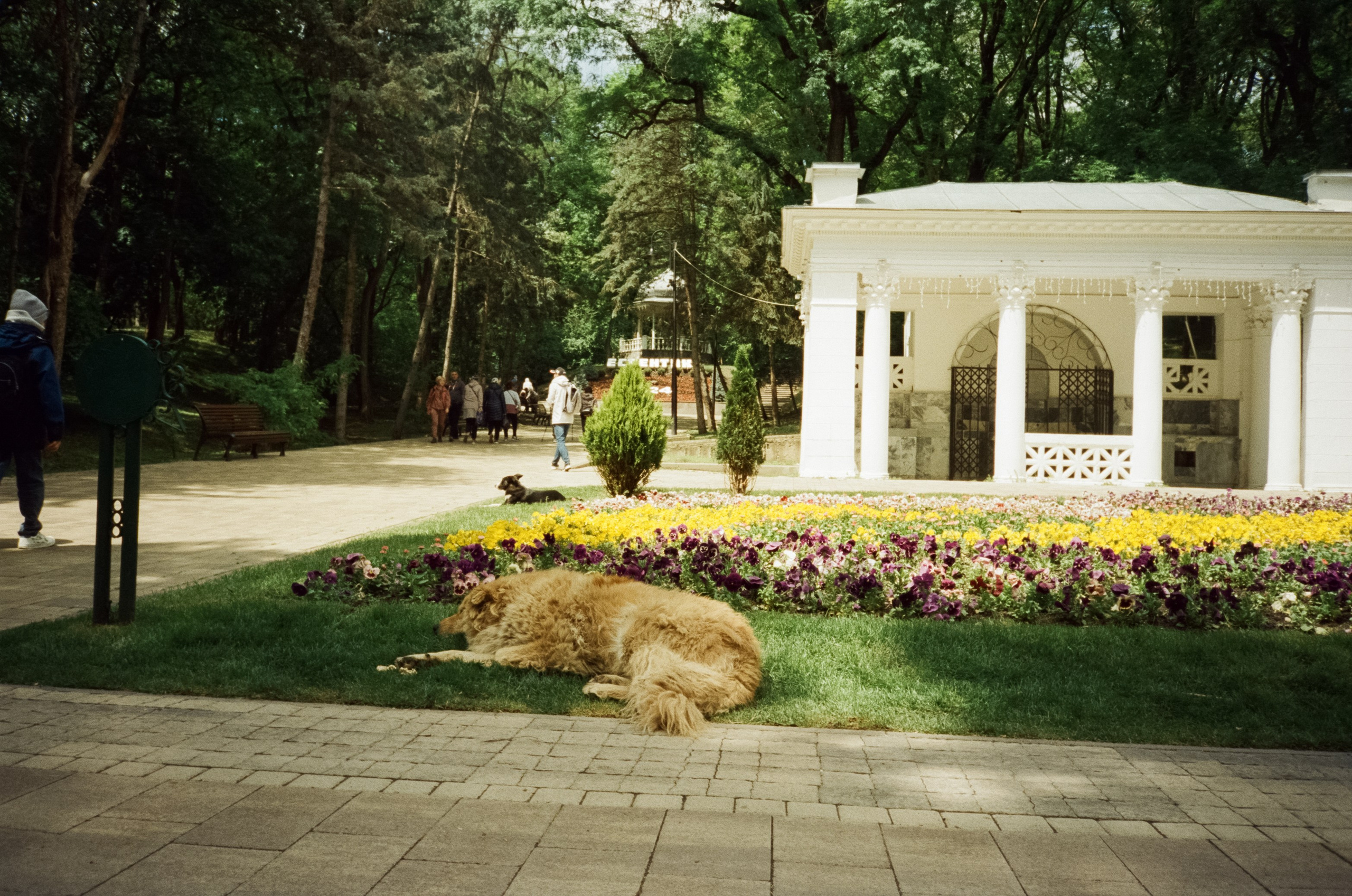Солнечные Ессентуки. Прогулка в Курортном парке. Фотограф-документалист Мария Осокина