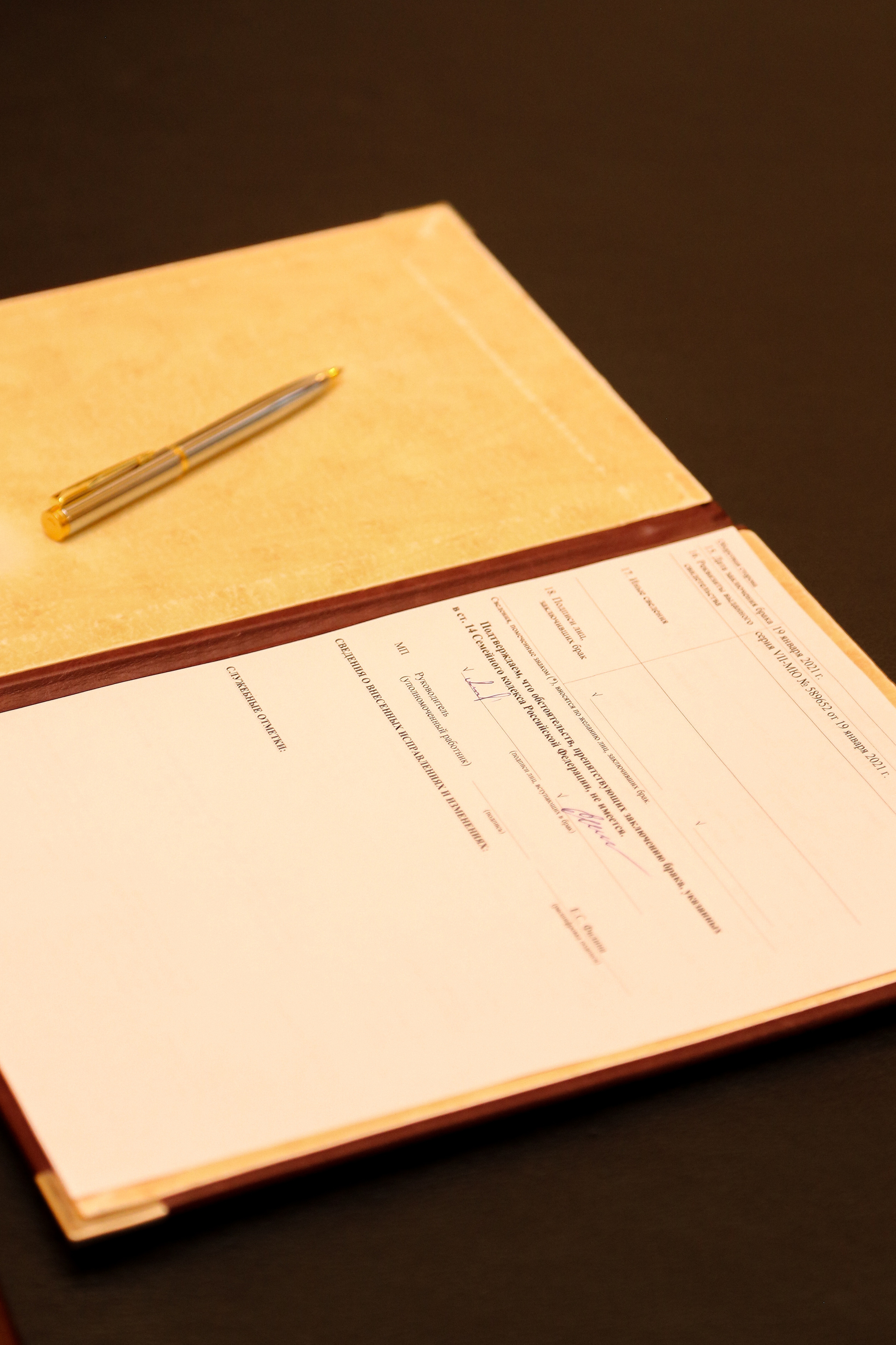 Роспись Елены и Александра. Фотограф Антон Чупринин