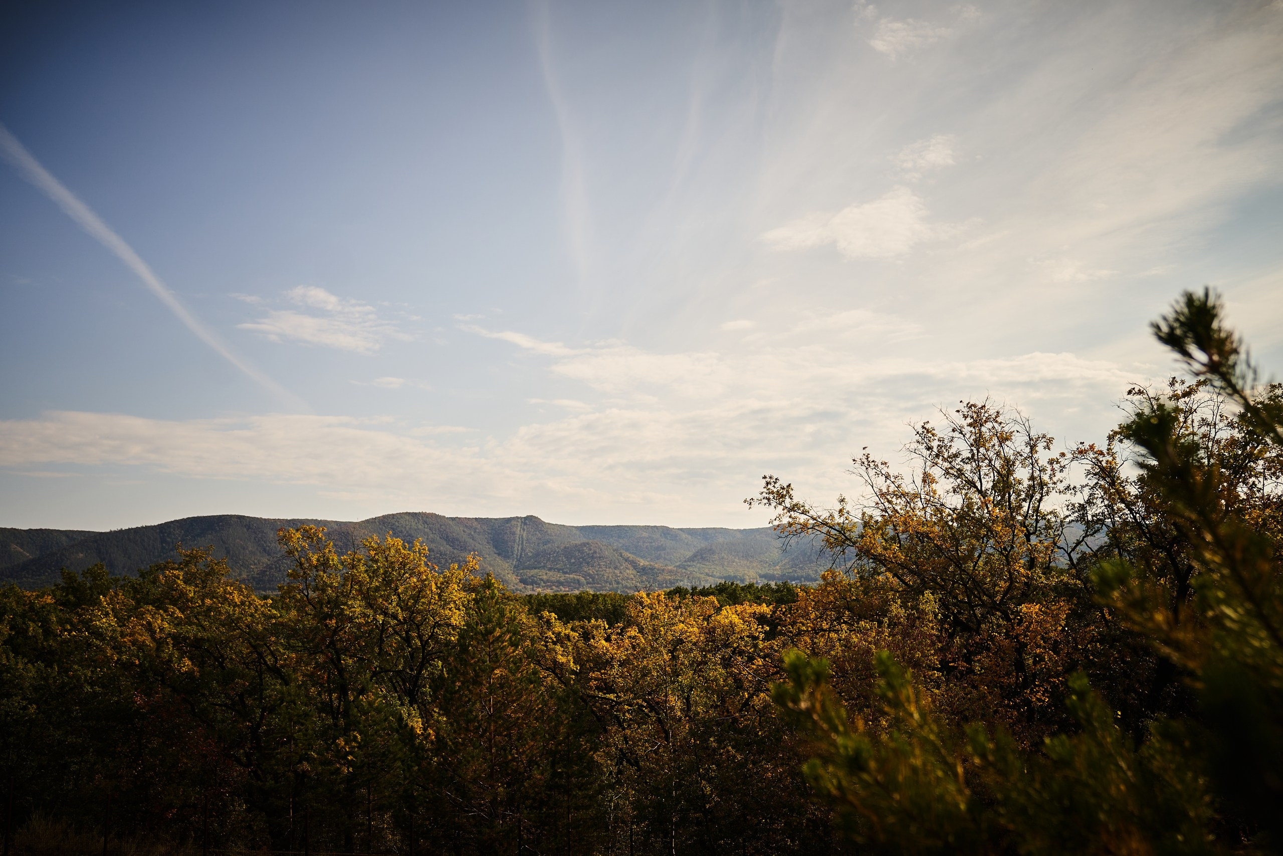 Event. Фотограф Евгений Шаров