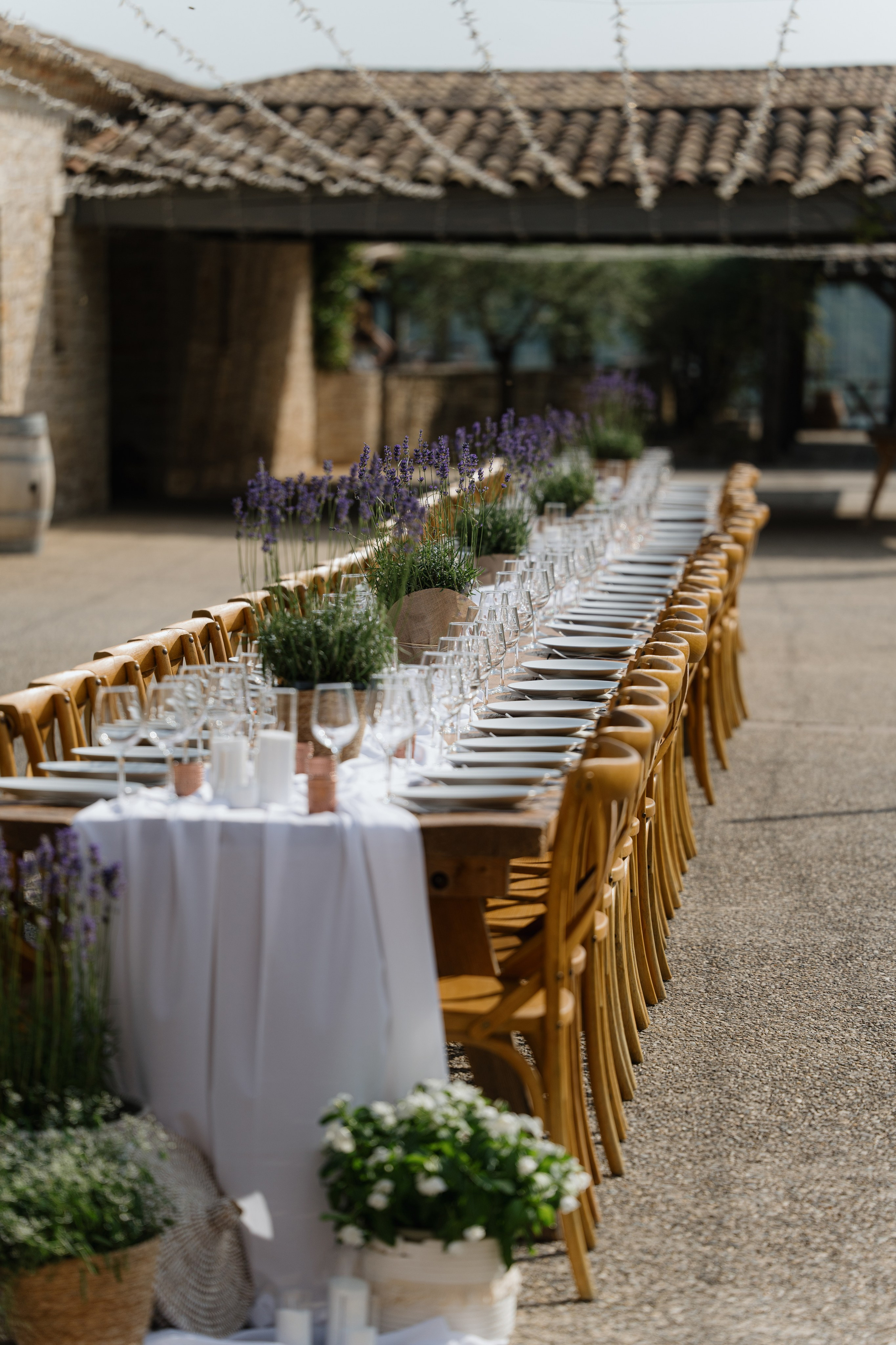Anastasiya & Mathieu welcome dinner (preview). Фотограф Томск, Новосибирск Влад Свириденко
