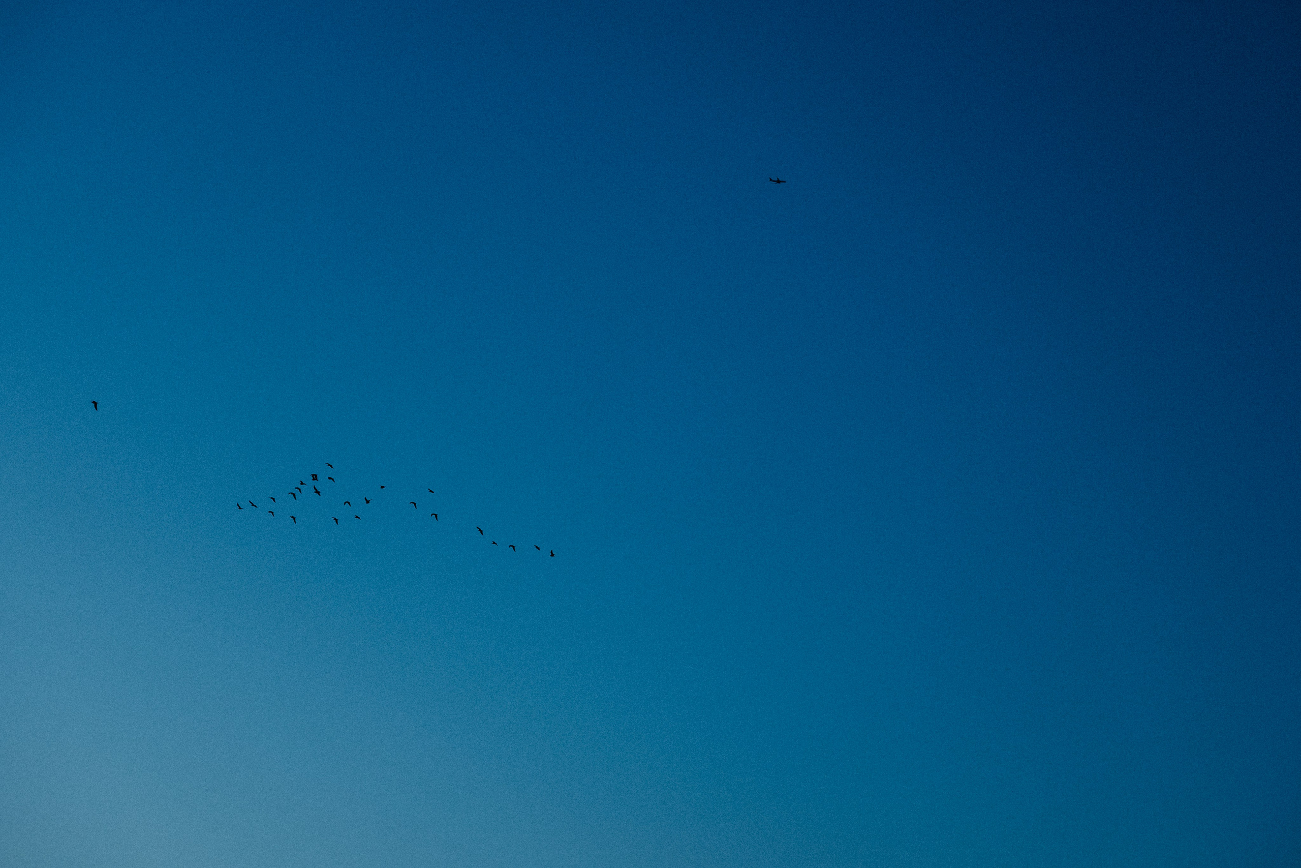 Свадебный фотограф в Санкт-Петербурге Баженова Алина