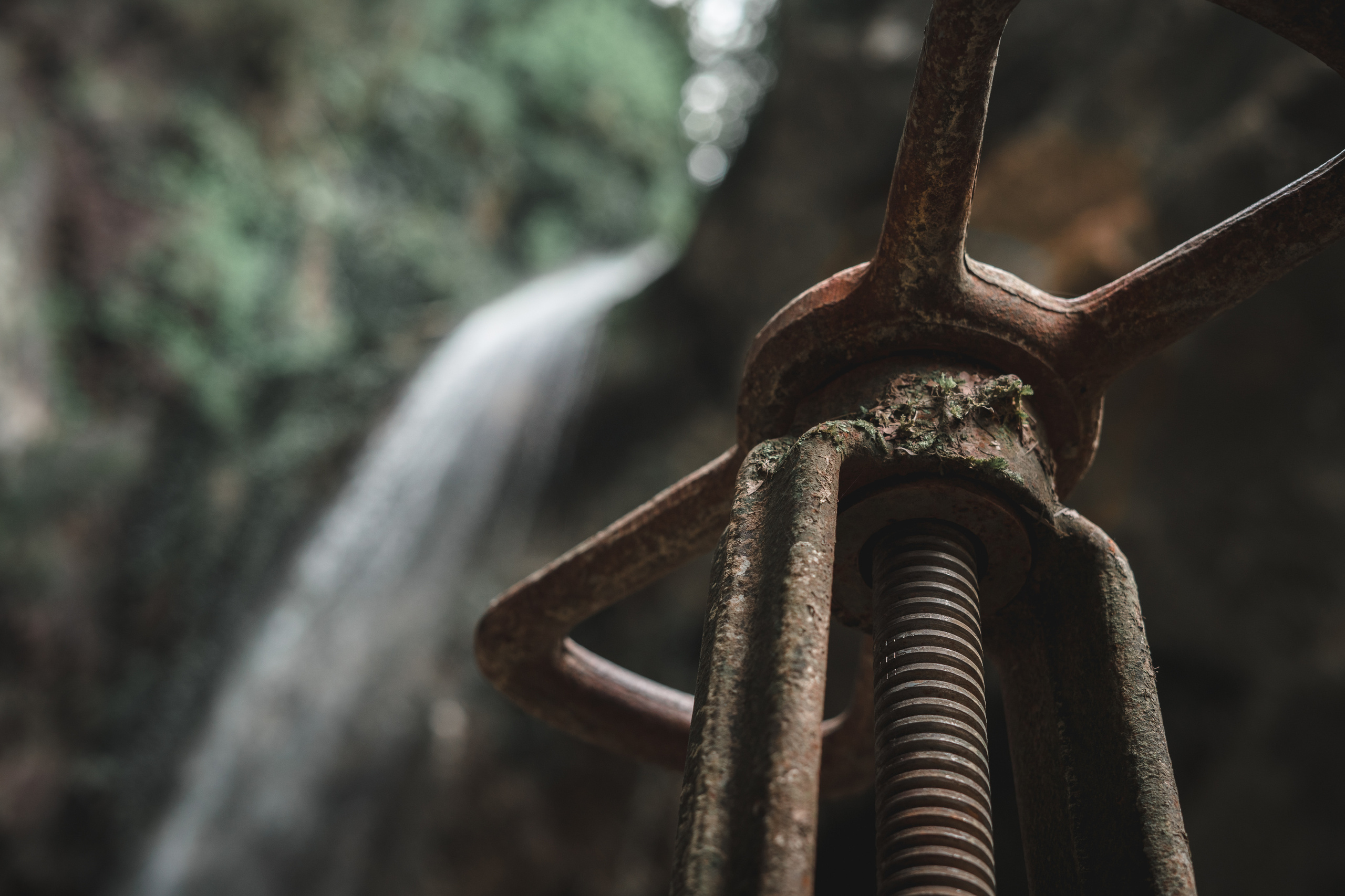 Waterfall keeper. Photographer Phuket