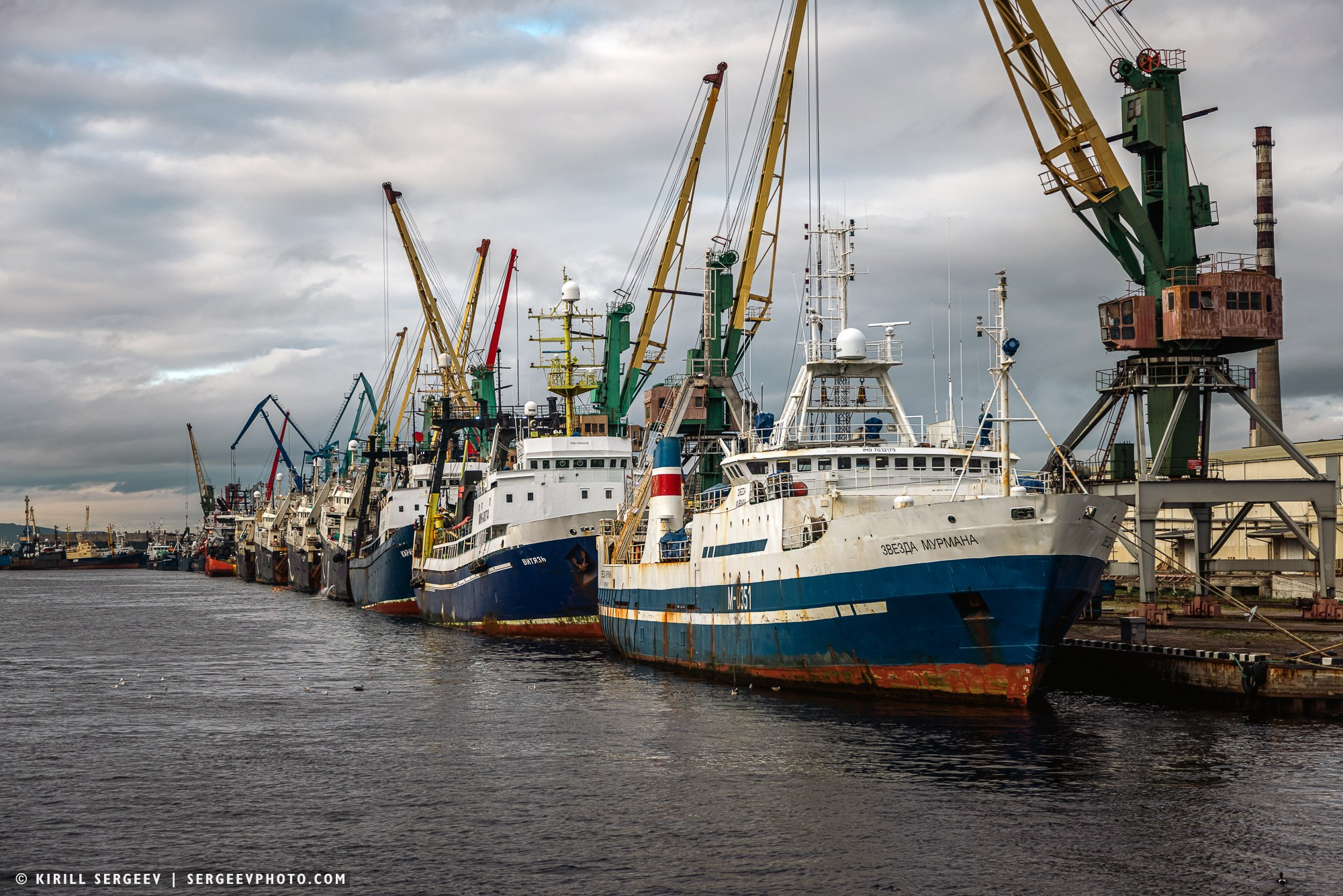 Арктическая одиссея. Фотограф Кирилл Сергеев | Москва