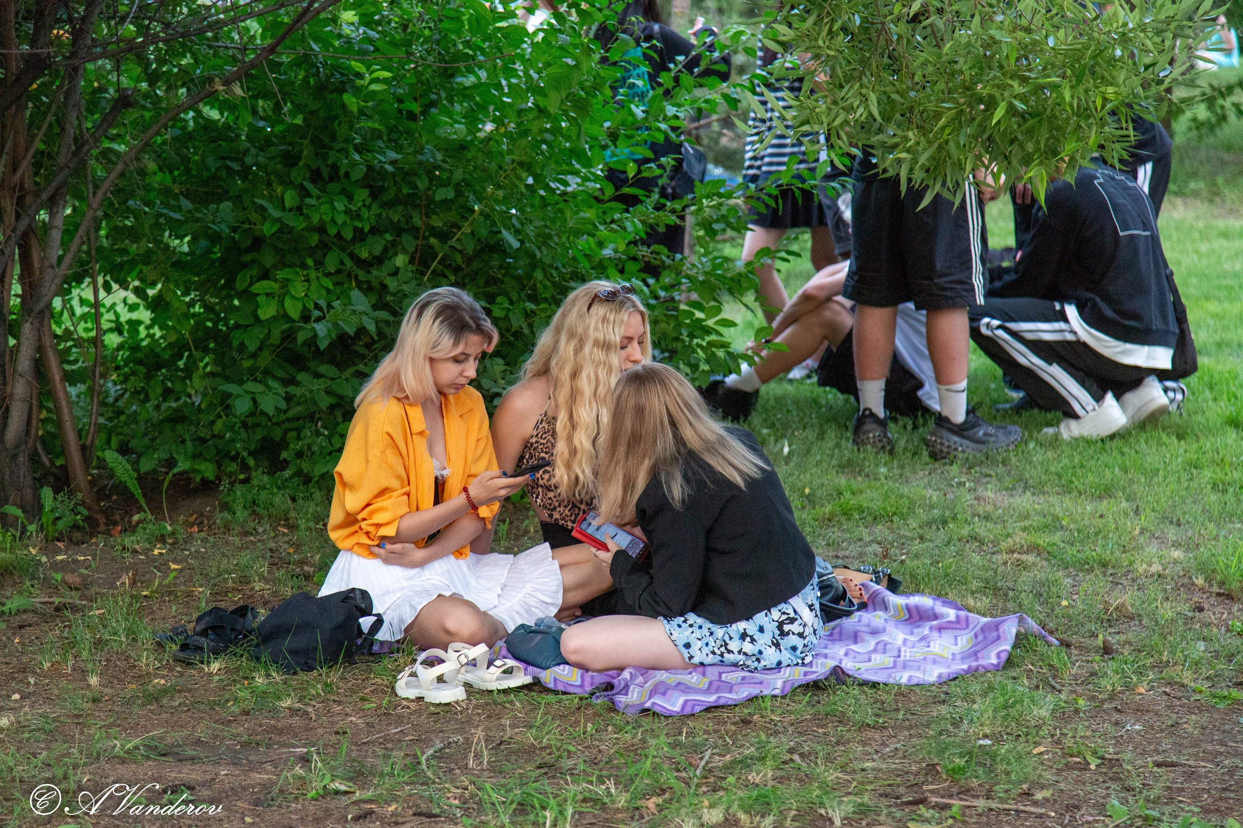 День города 03.08.2024. Фотограф Омск | Александр Вандеров