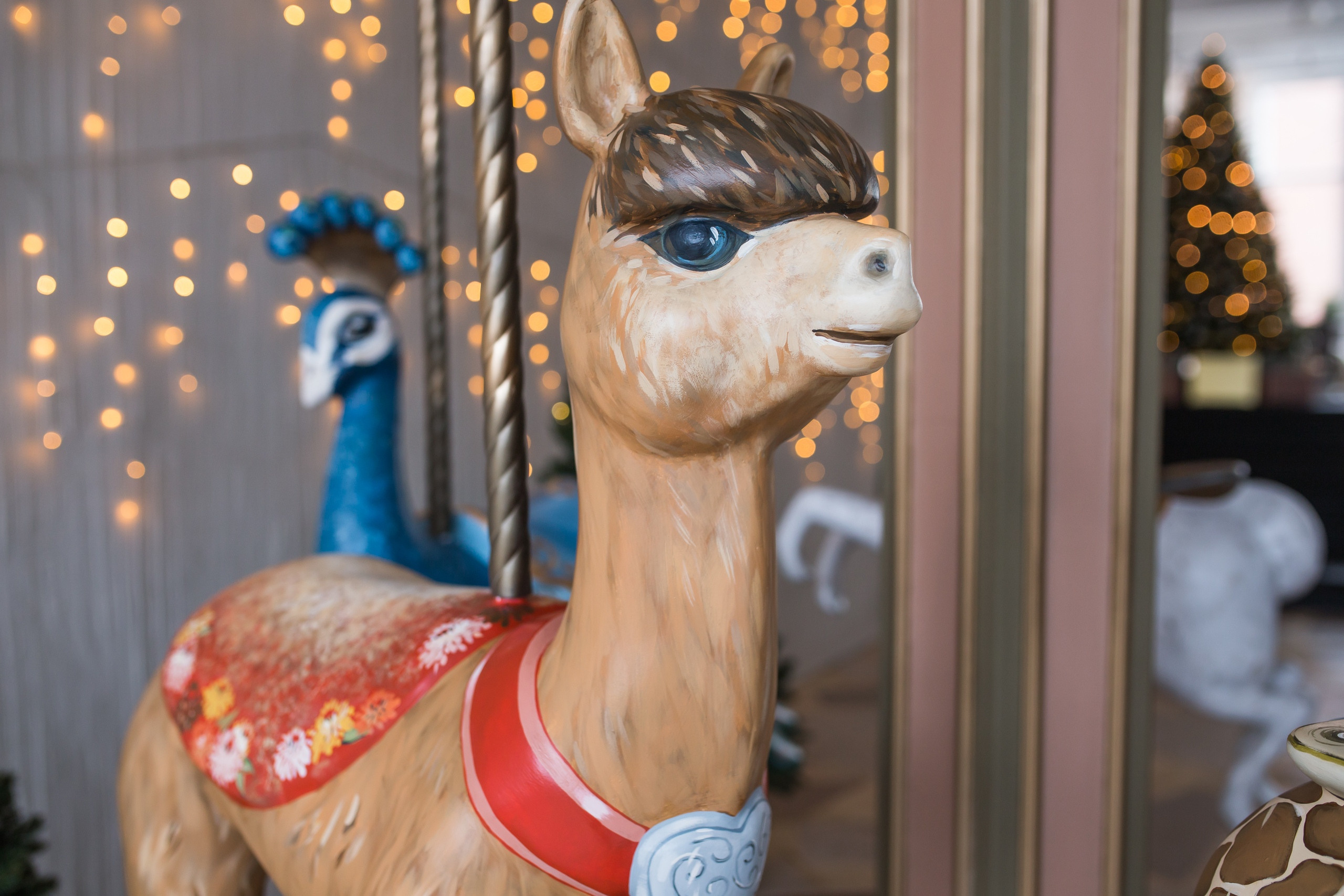 Новогодние фотосессии г. Екатеринбург. Свадебный и семейный фотограф Ксения Шекк Екатеринбург