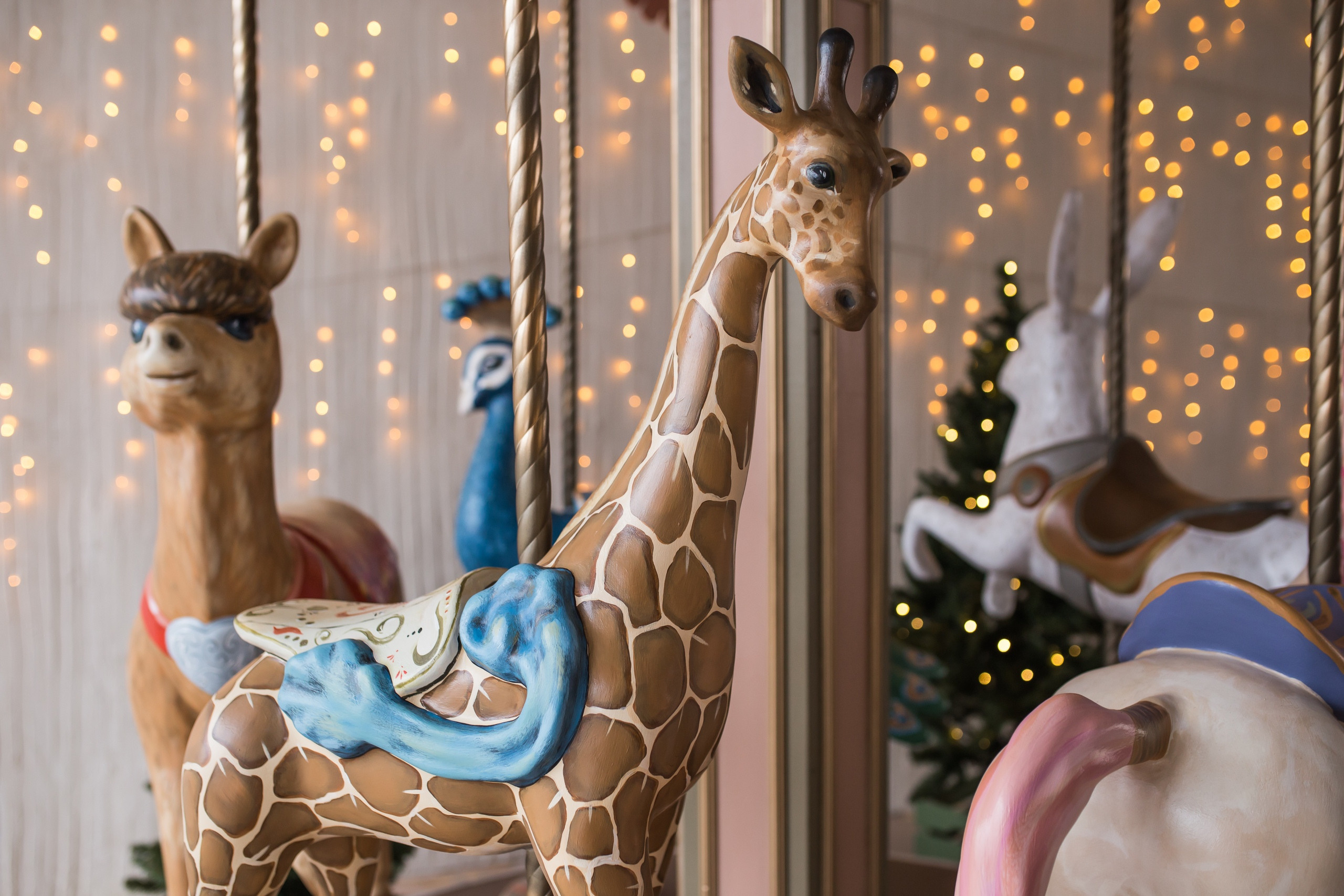 Новогодние фотосессии г. Екатеринбург. Свадебный и семейный фотограф Ксения Шекк Екатеринбург