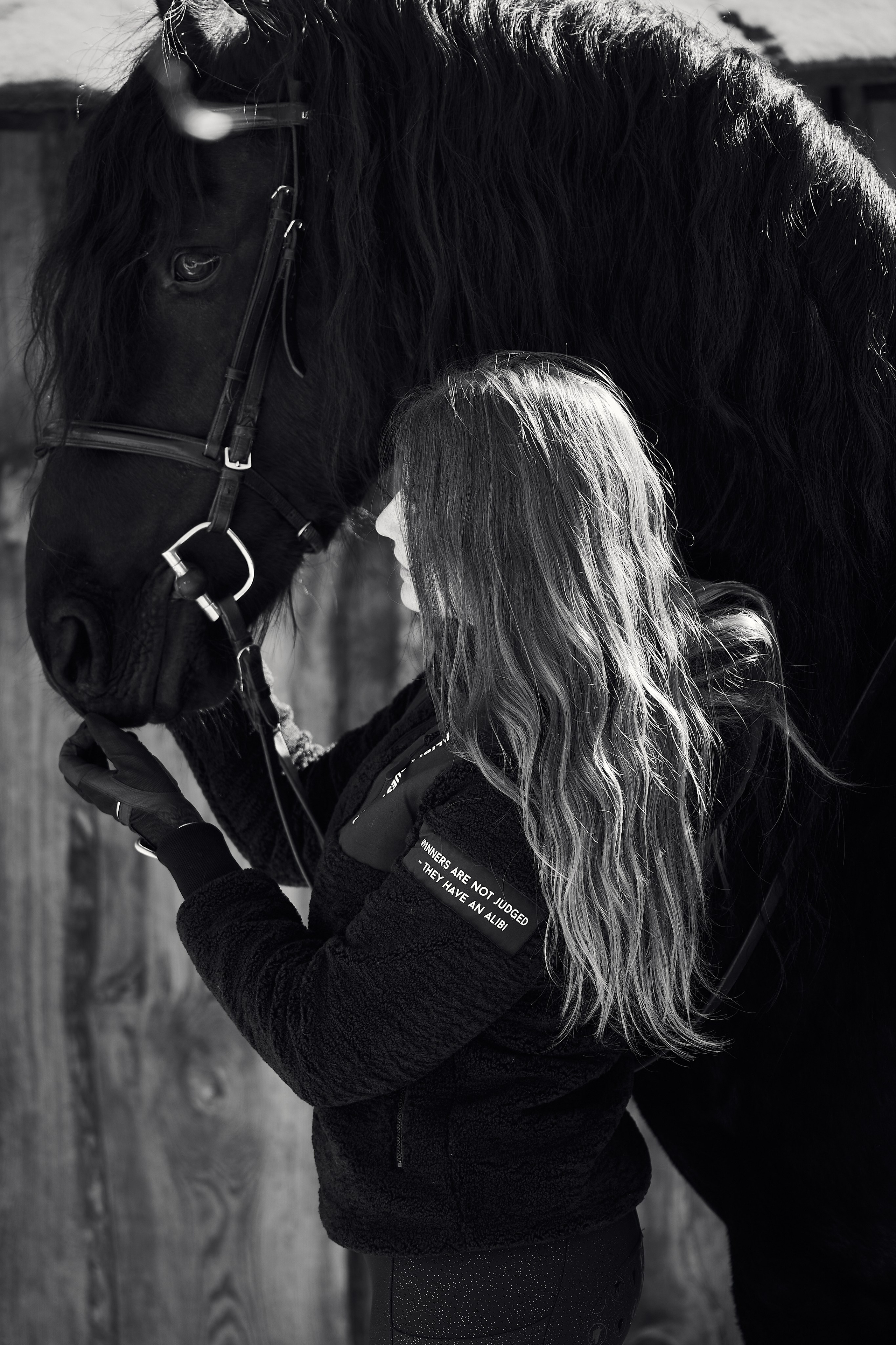 Фотосессии с лошадьми в Москве, Новосибирске