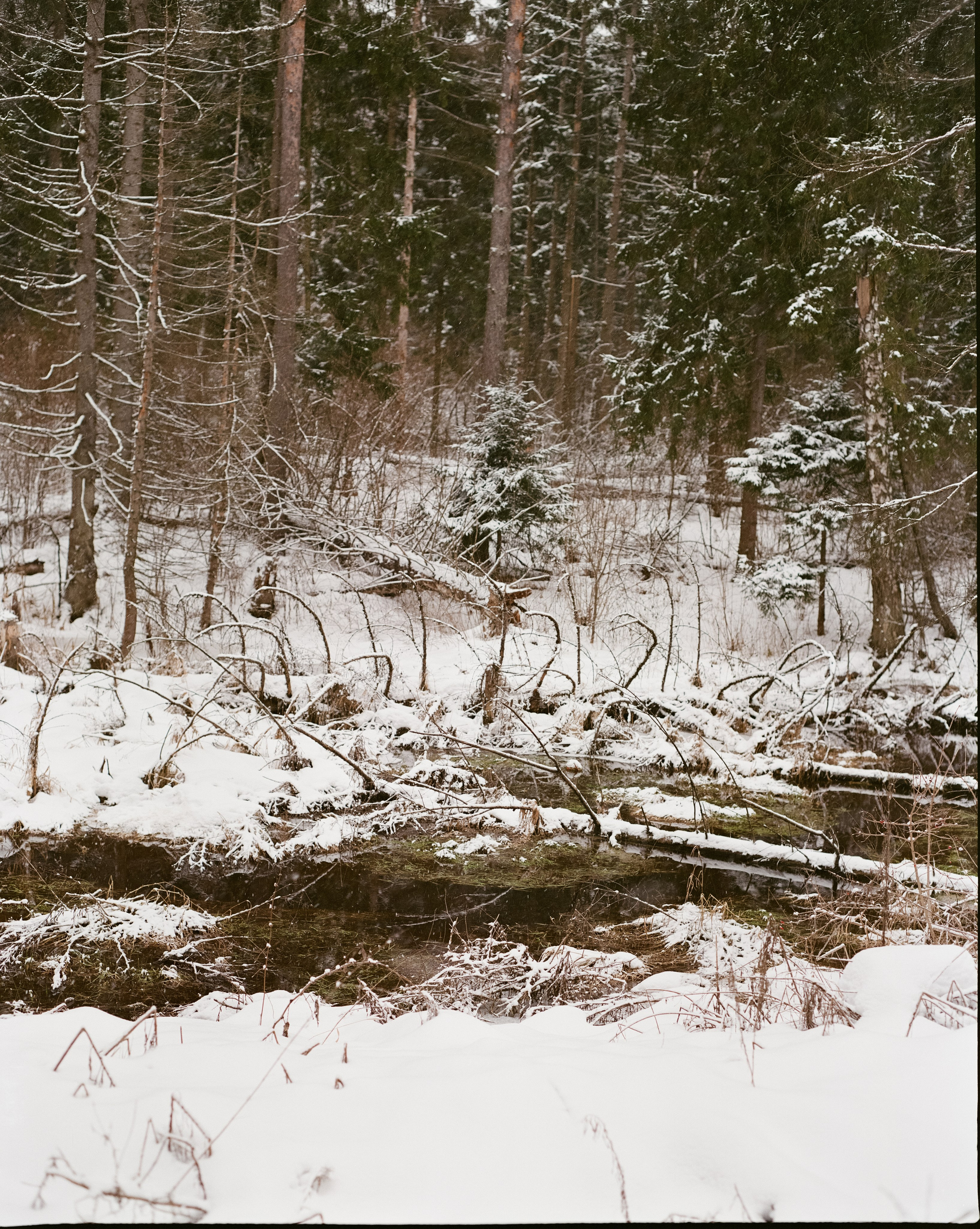 Pentax 67 105 mm f/2.4